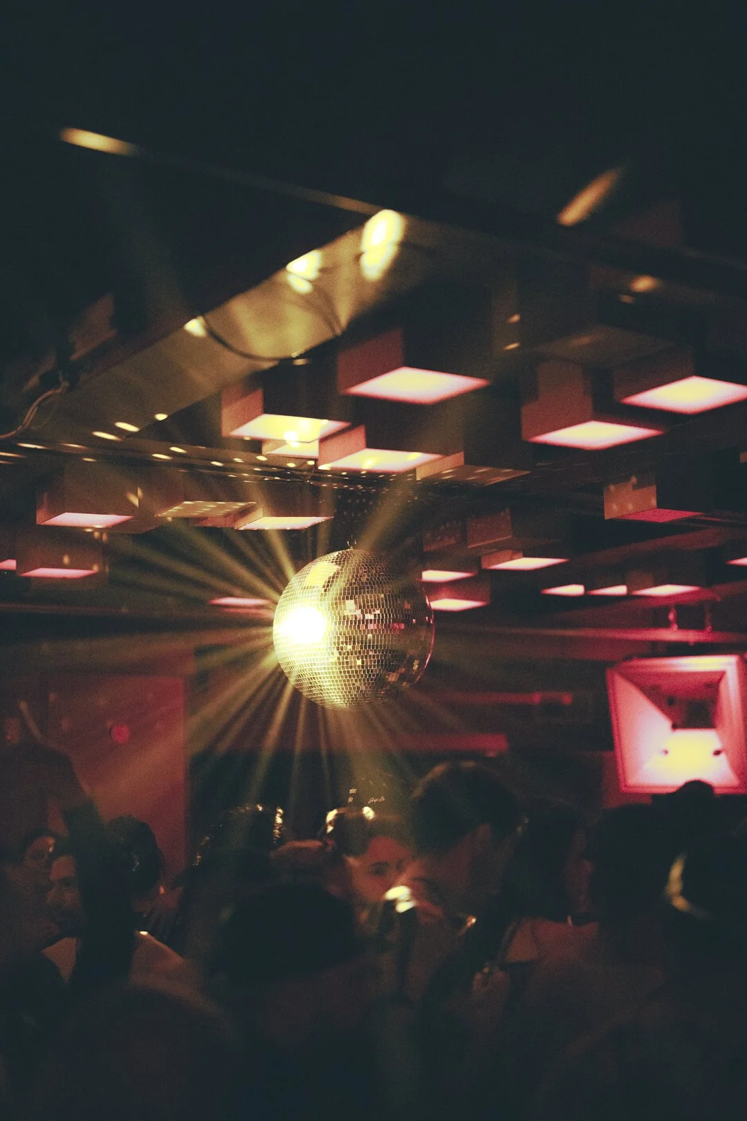 @PhotosByBrendaBrooks Jolene 3.15.24 - 42.JPG