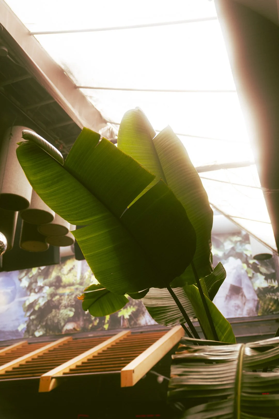 @PhotosByBrendaBrooks Space 12.8.25 - 35.JPG