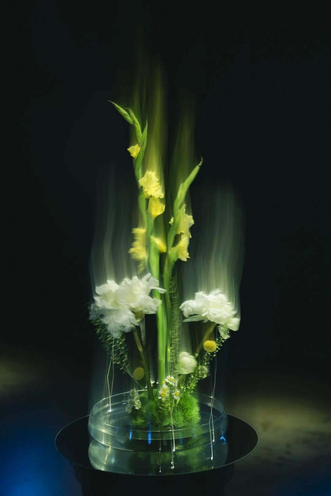 @PhotosByBrendaBrooks Chrolik Interval - 91.JPG