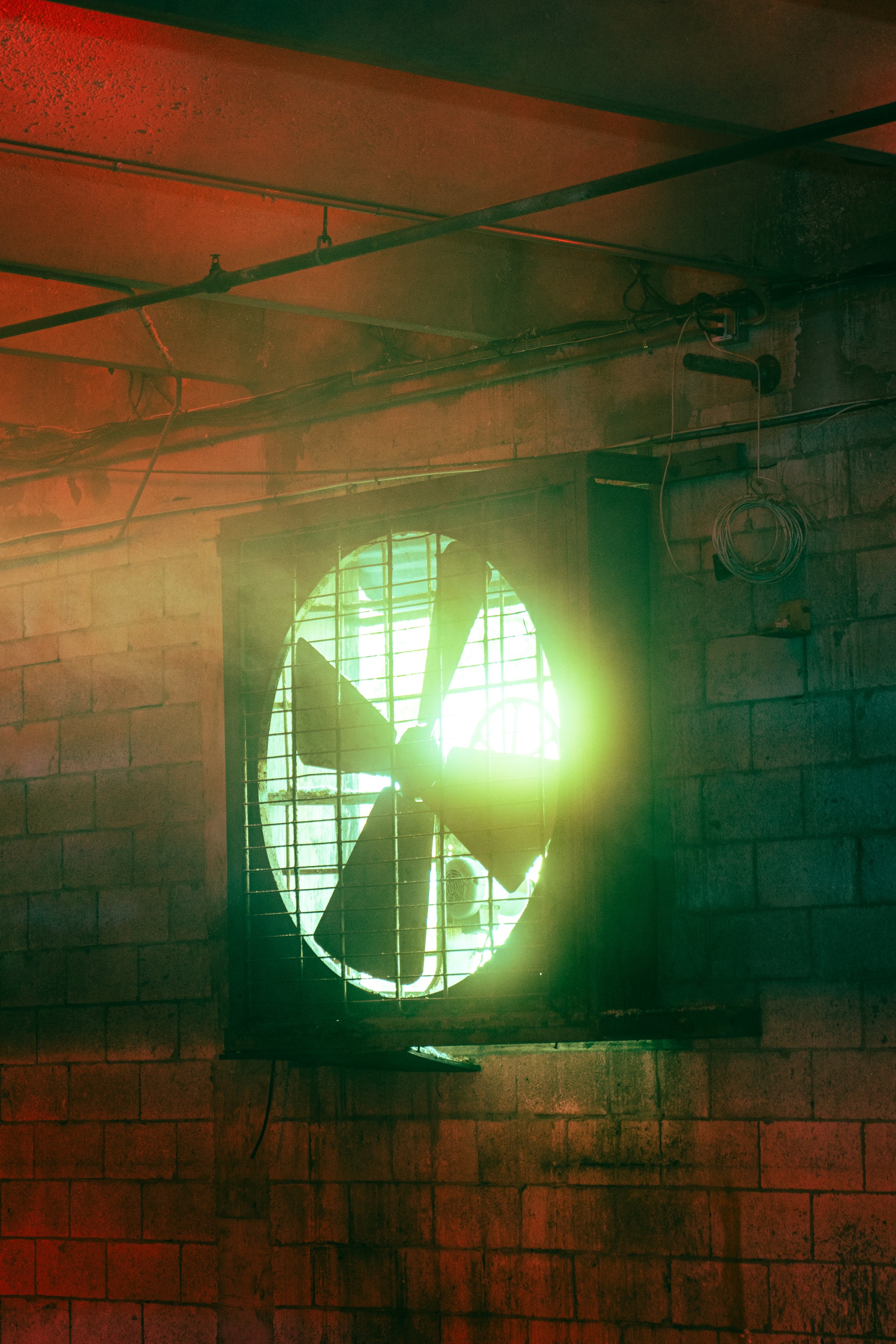 @PhotosByBrendaBrooks iii Joints 4.18.26 - 3.JPG