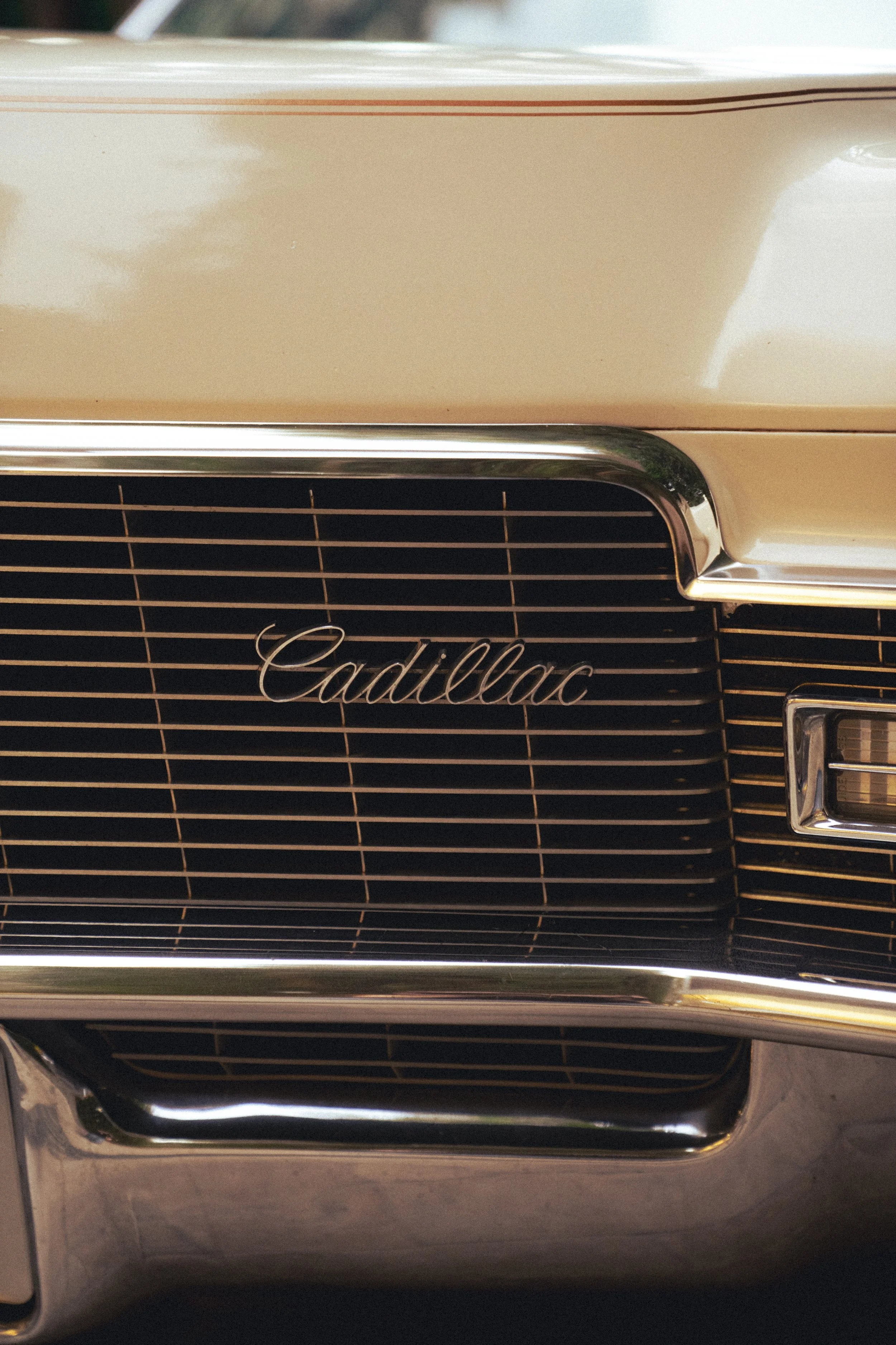 @PhotosByBrendaBrooks Cadillac 1.29.26 - 10.JPG