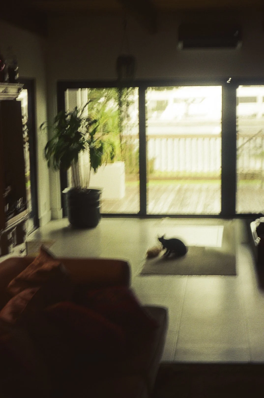 @FilmByBrendaBrooks 9.16.25 - 4.JPG