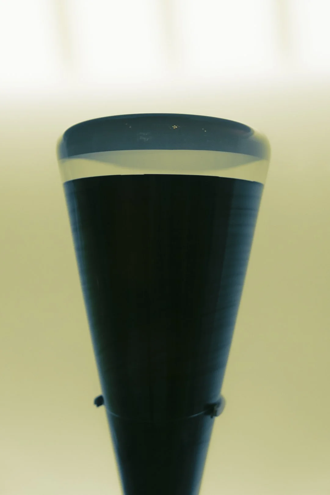 @PhotosByBrendaBrooks NYC 11.7.24 - 97.JPG