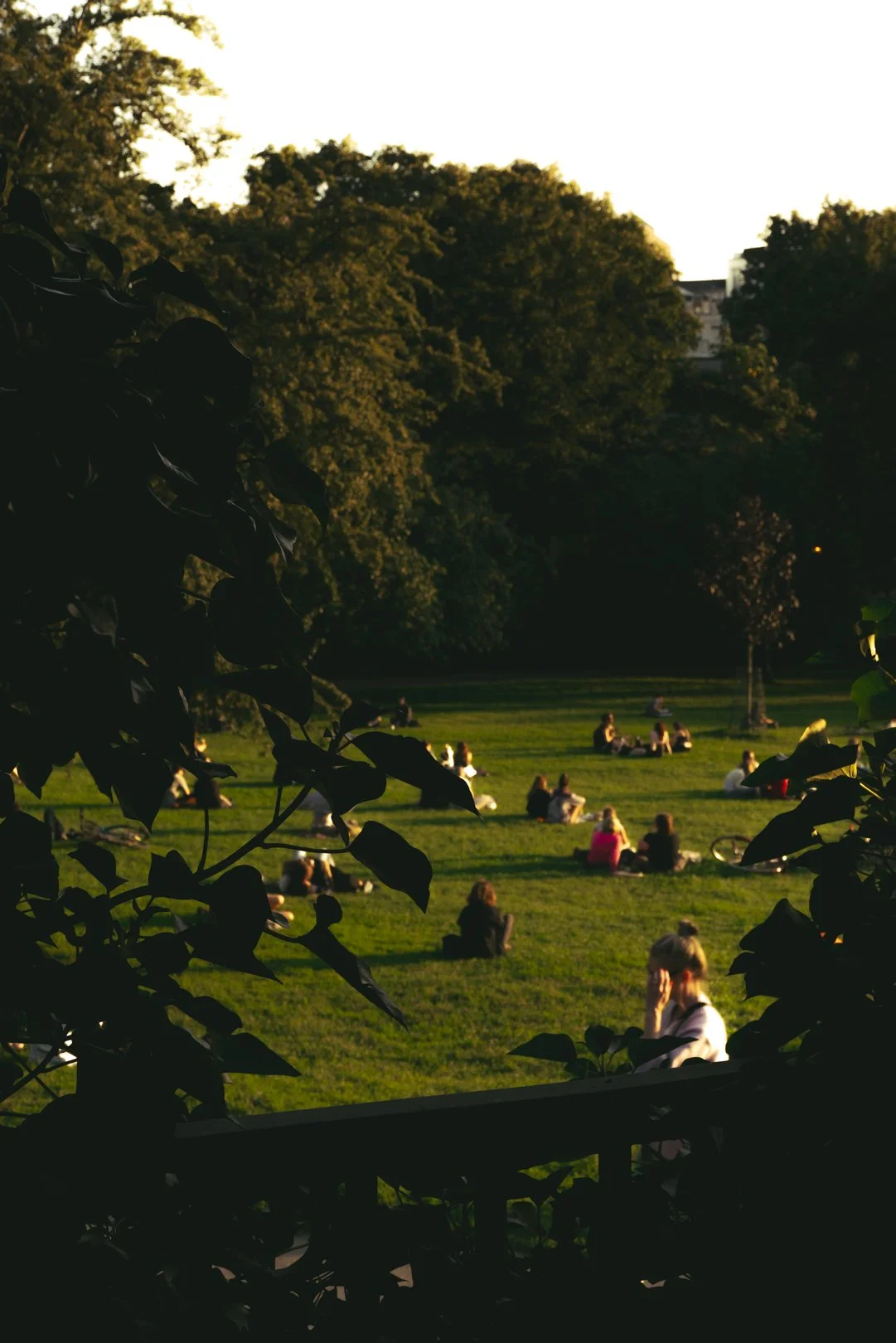 @PhotosByBrendaBrooks Berlin 7:30:25 - 52.JPG