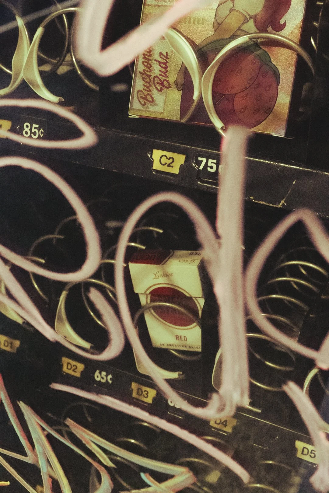 @PhotosByBrendaBrooks Leica Dump 7.12.25 - 12.JPG