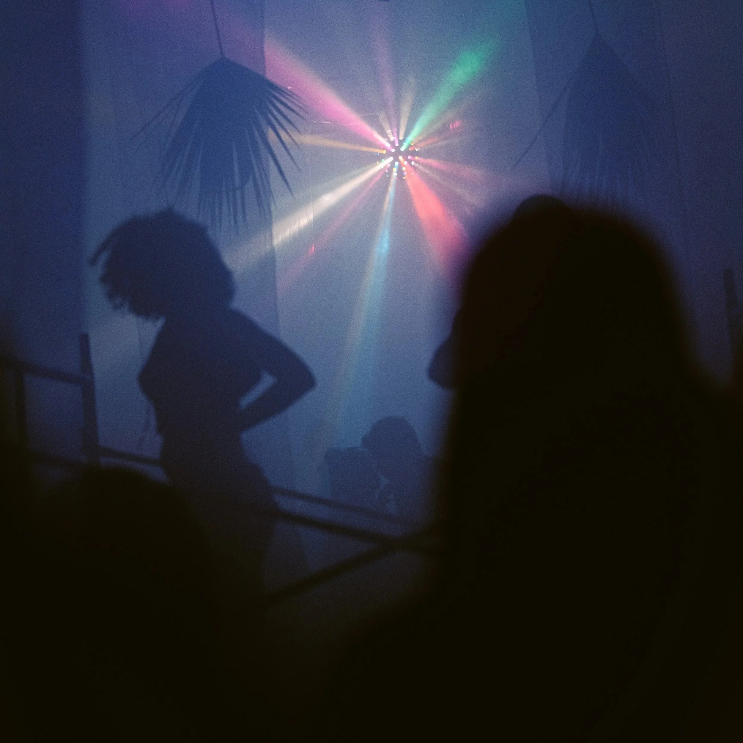 Nightlife (38)