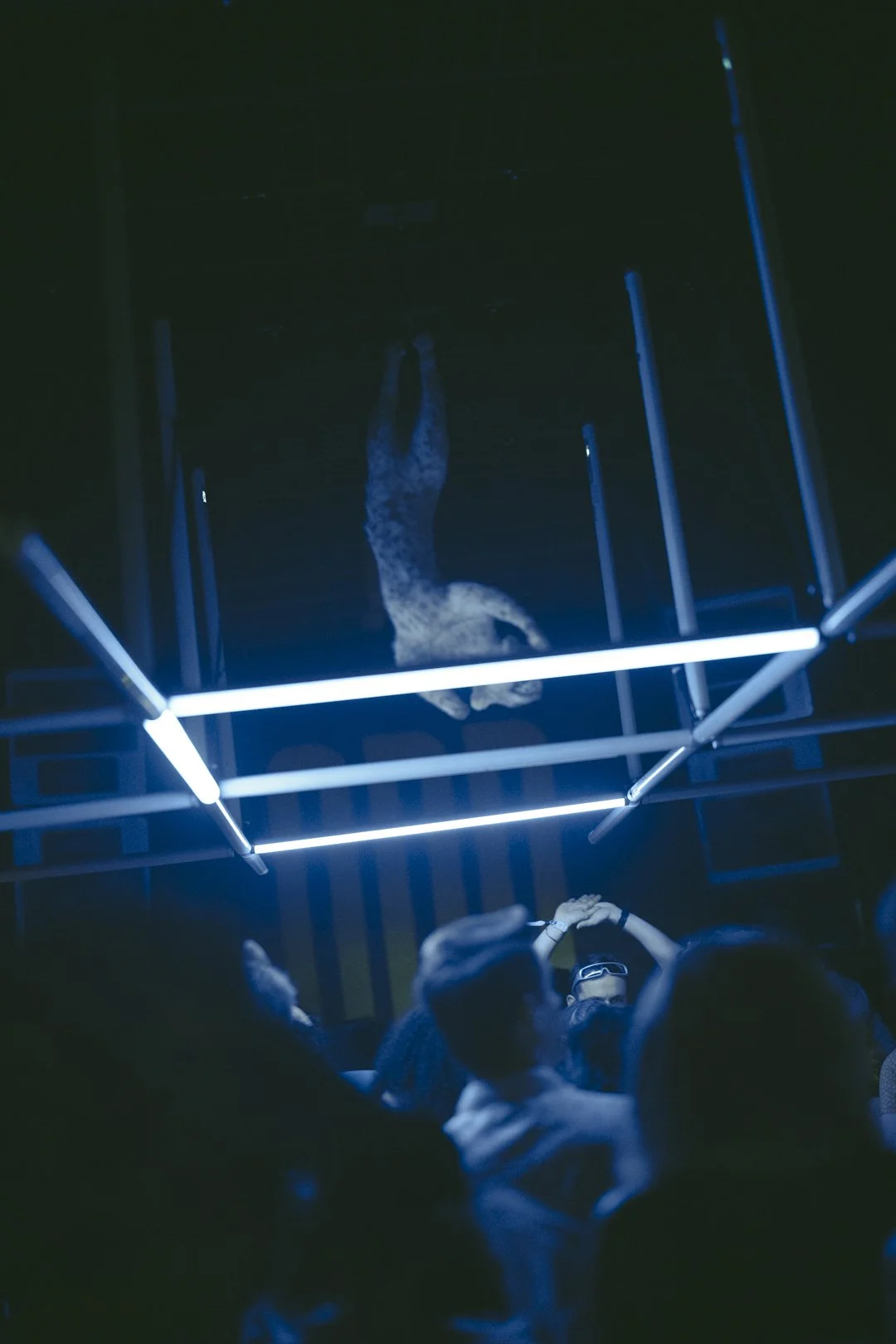 @PhotosByBrendaBrooks iii Day 2 10-19-24 - 325.JPG