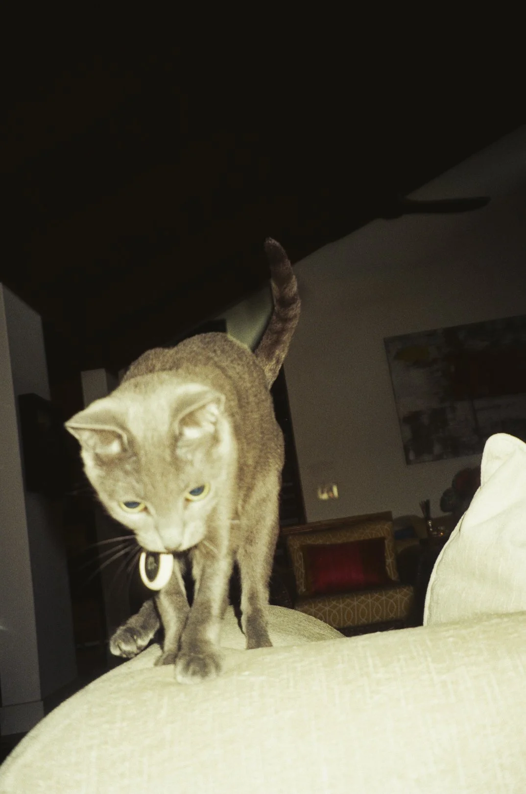 @FilmByBrendaBrooks 9.16.25 - 1.JPG