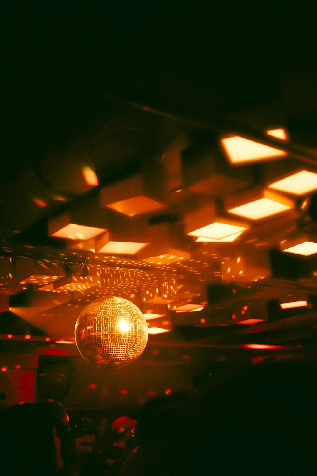 @PhotosByBrendaBrooks Jolene 1.2.26 - 41.JPG