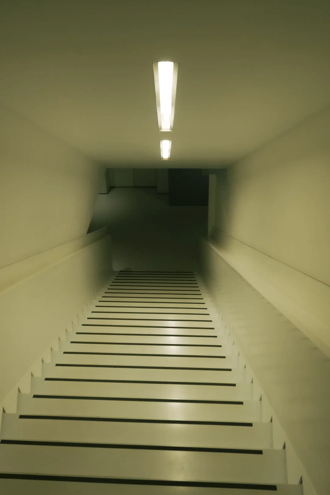 @PhotosByBrendaBrooks NYC 11.7.24 - 94.JPG