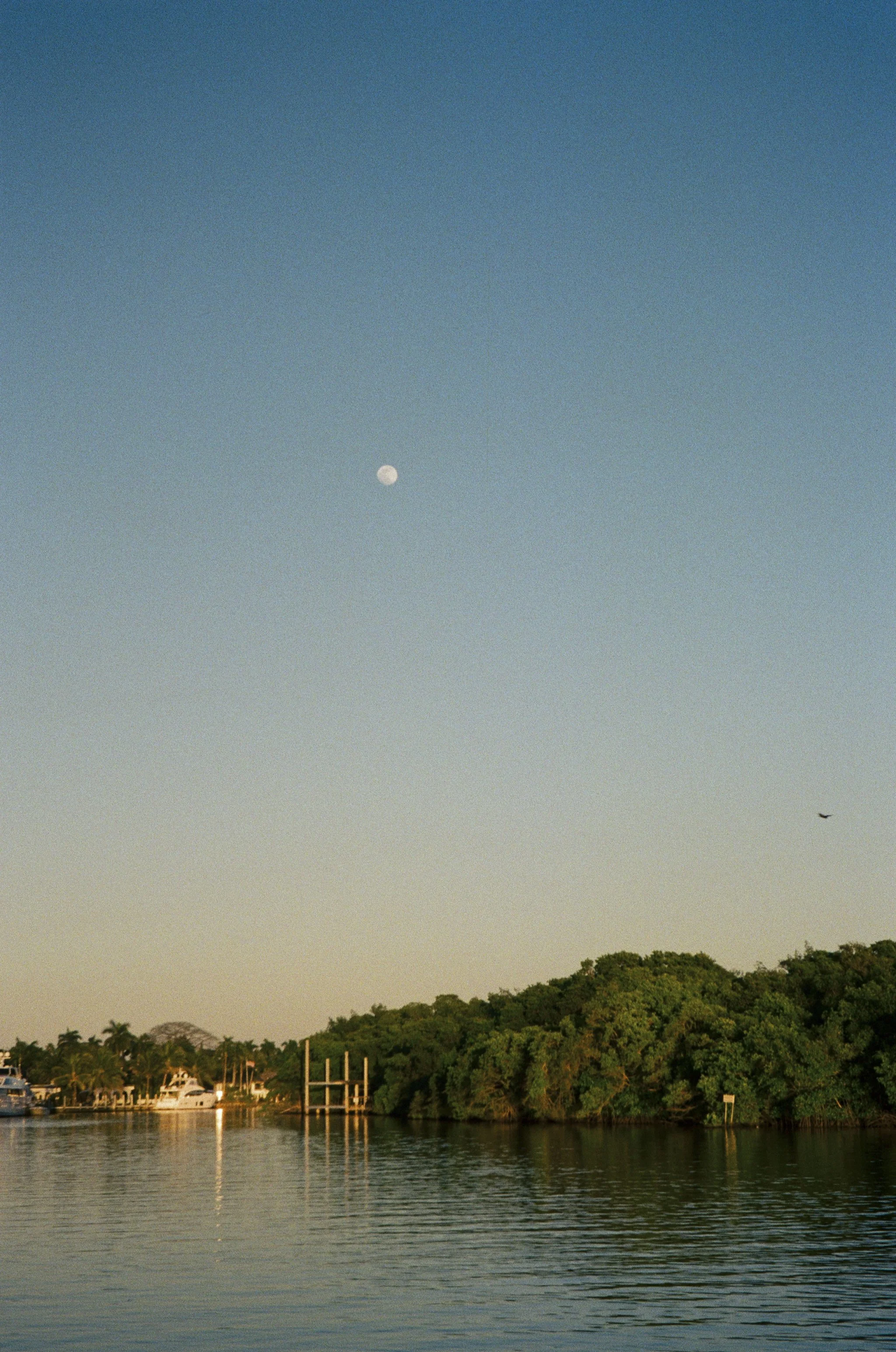 @FilmByBrendaBrooks 1.13.26 - 22.JPG