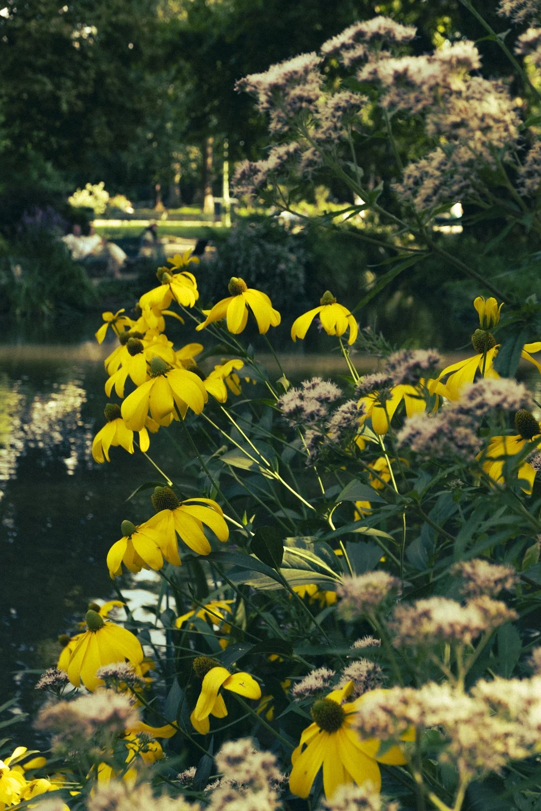 @PhotosByBrendaBrooks Paris 7:23:25 - 252.JPG