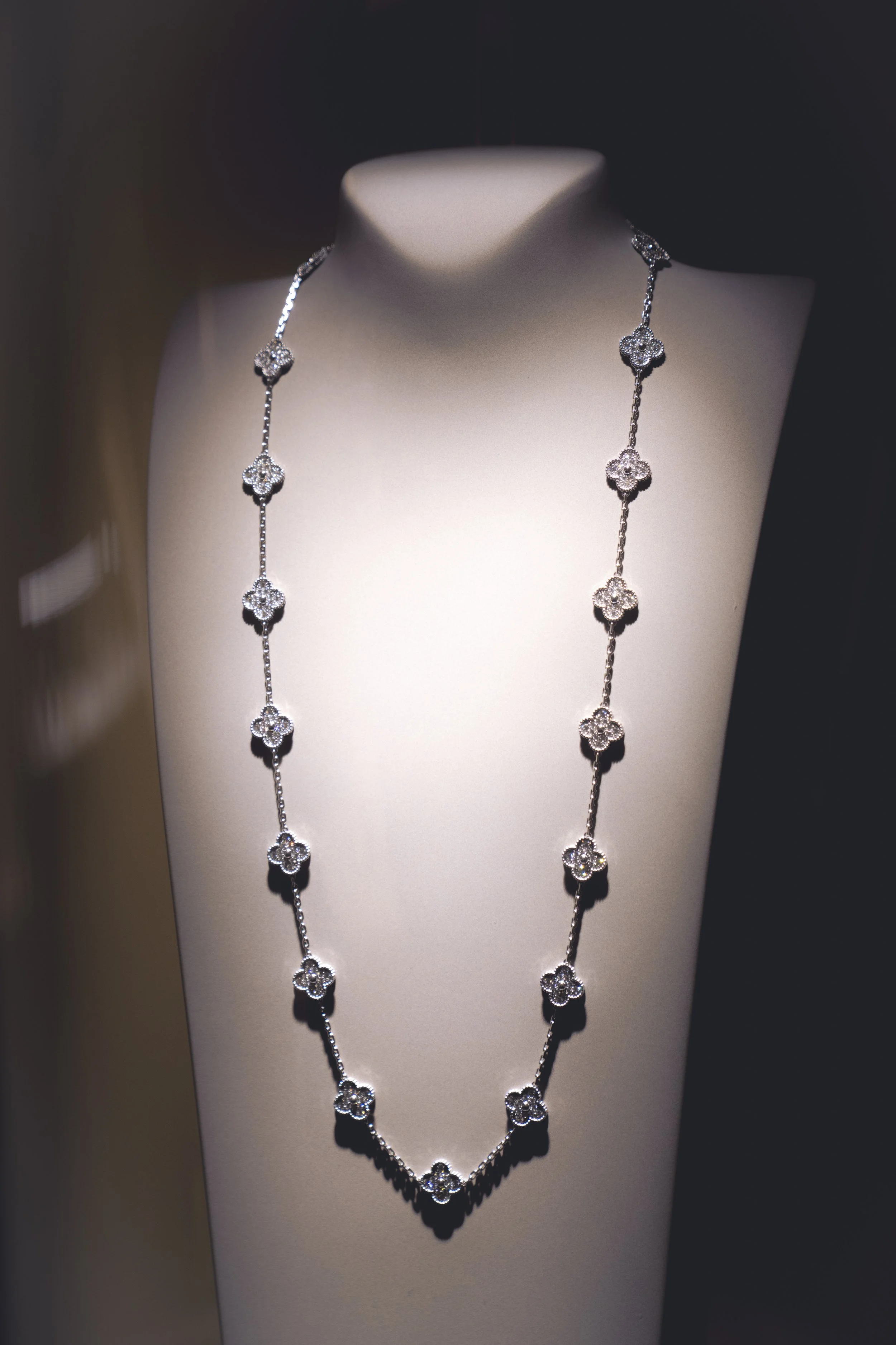 @PhotosByBrendaBrooks VCA 2.17.26 - 6.JPG