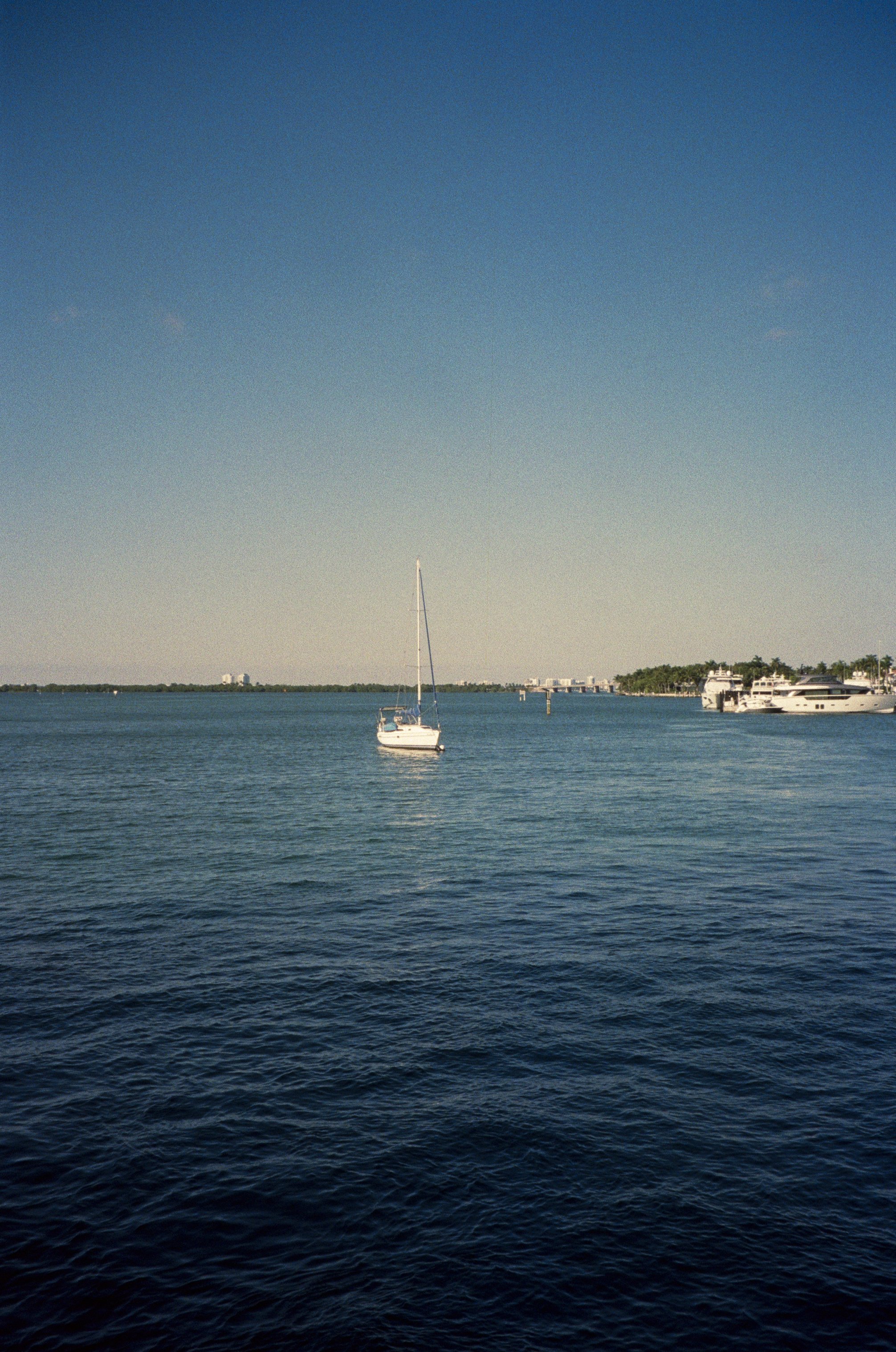 @FilmByBrendaBrooks 1.13.26 - 1.JPG