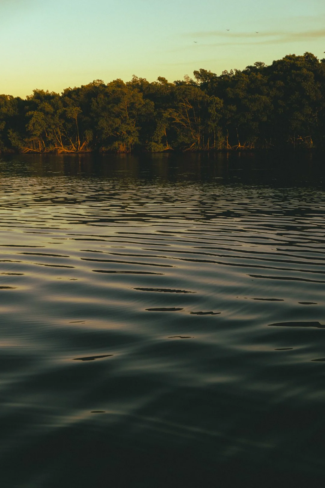 @PhotosByBrendaBrooks 1.1.26 - 7.JPG