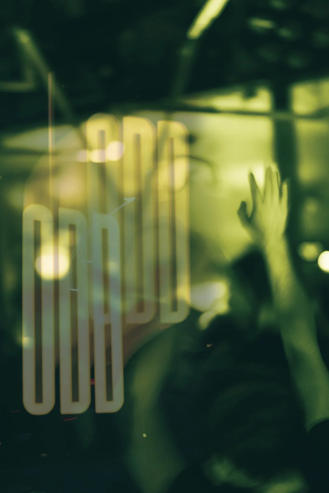 @PhotosByBrendaBrooks ODD 2.20.25 - 33.JPG