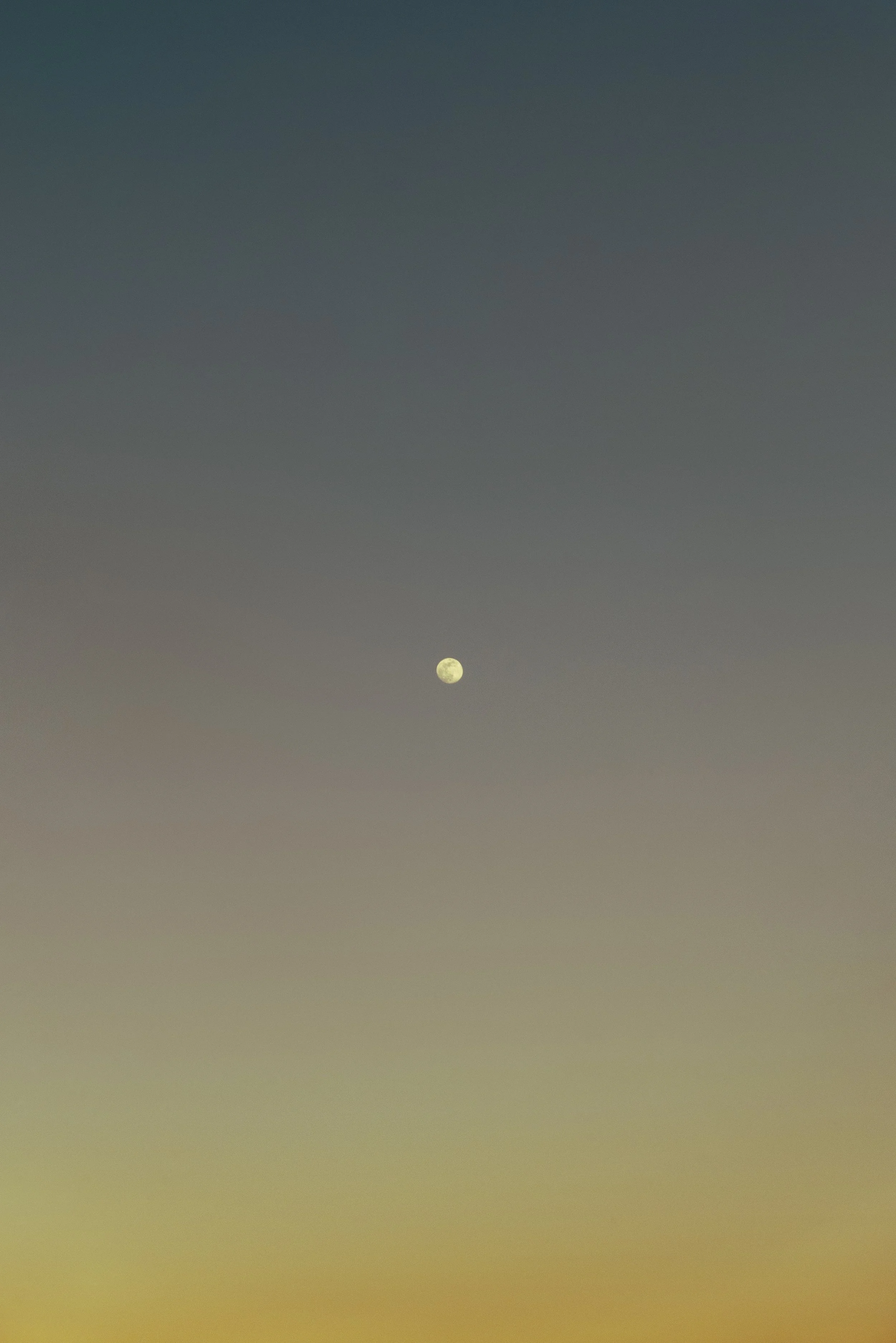 @PhotosByBrendaBrooks 1.1.26 - 4.JPG