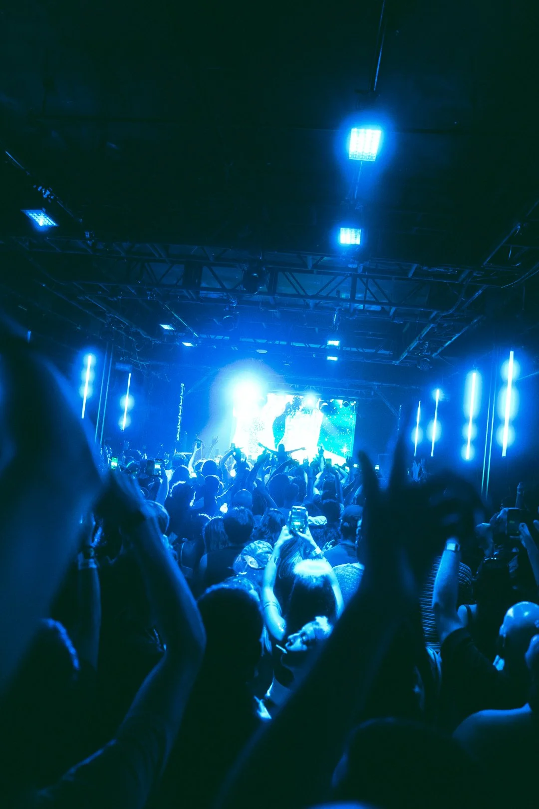 Ground 4.24.261.JPEG