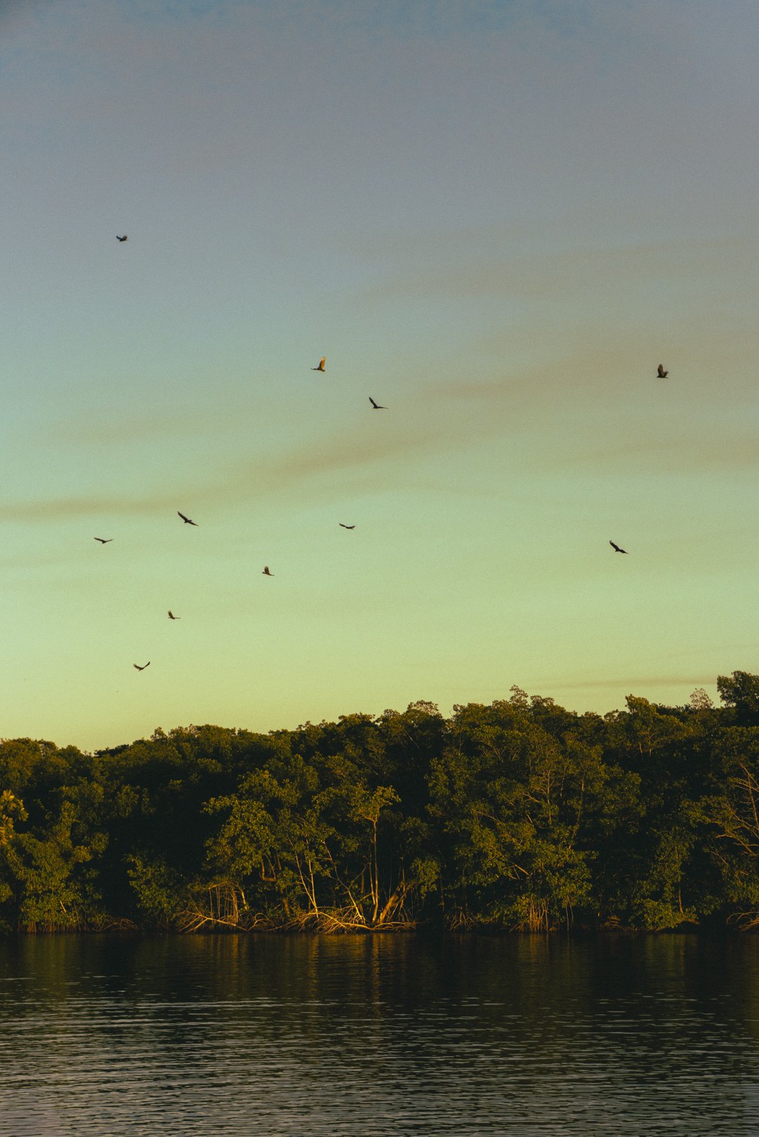 @PhotosByBrendaBrooks 1.1.26 - 2.JPG