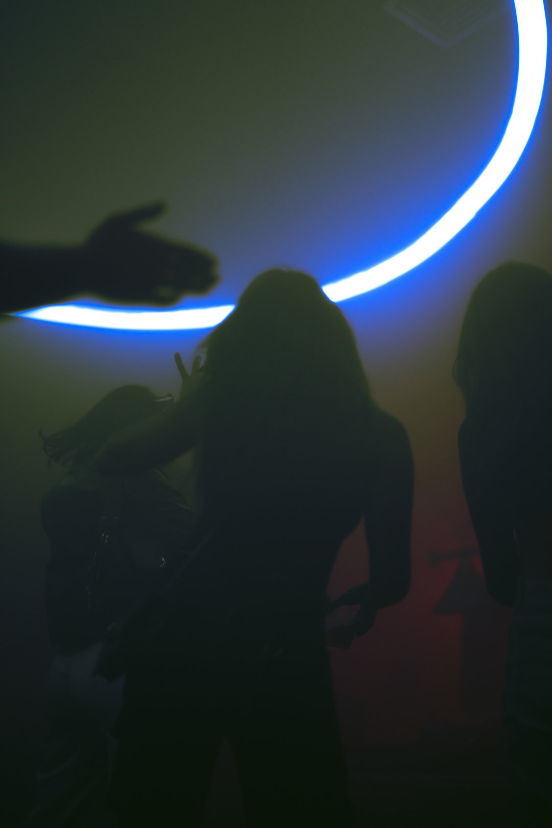 @PhotosByBrendaBrooks Verbs 2.3.24 - 30.JPG