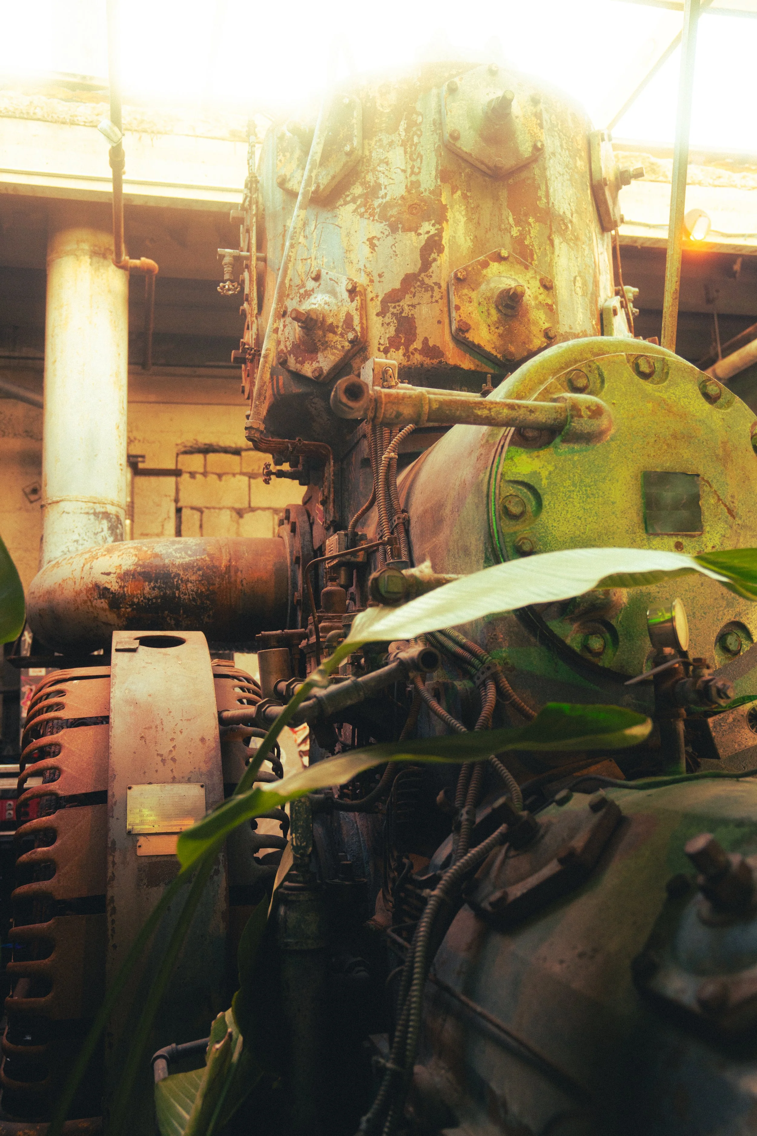 @PhotosByBrendaBrooks iii Joints 4.18.26 - 36.JPG