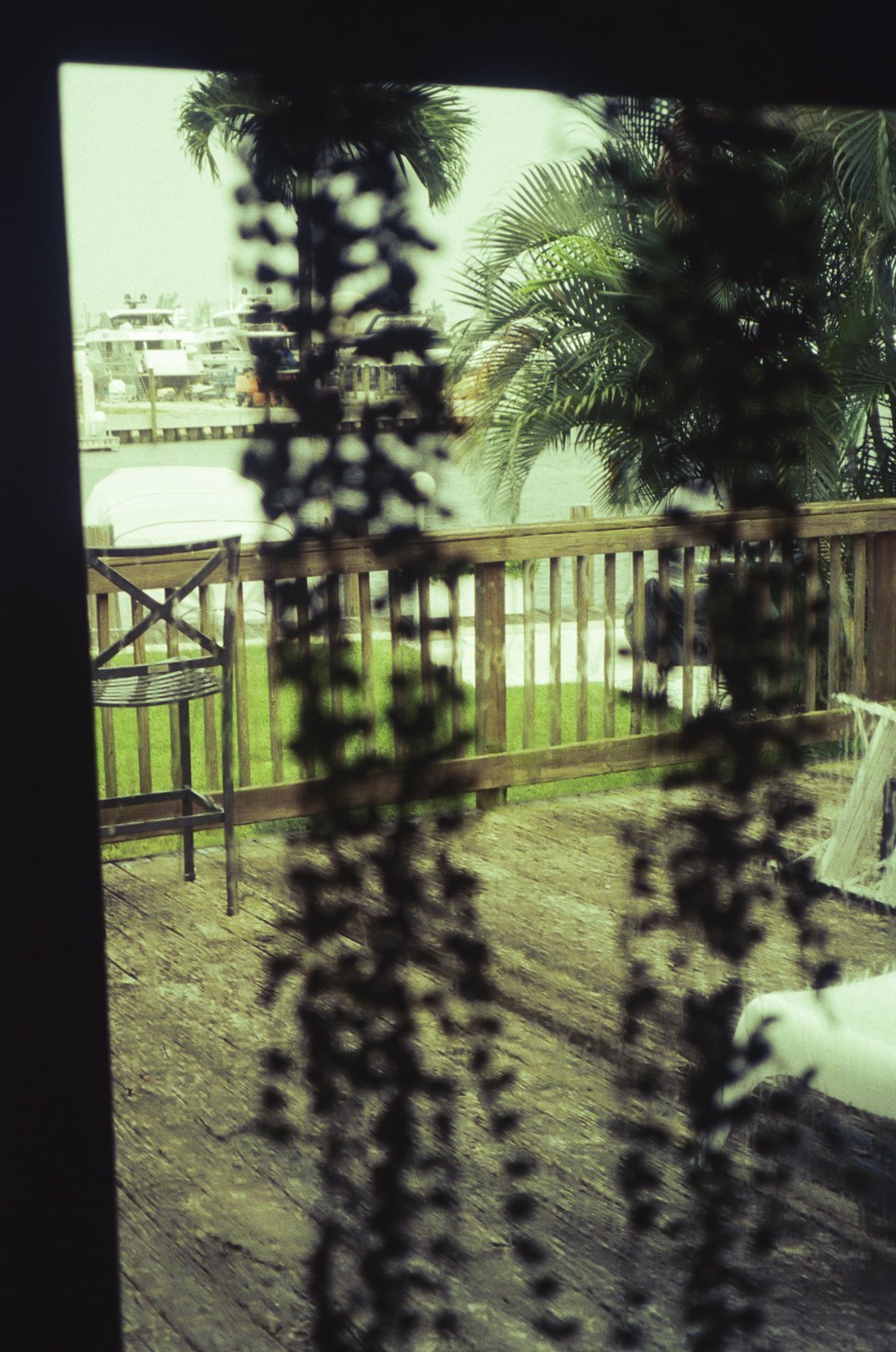 @FilmByBrendaBrooks 9.16.25 - 2.JPG