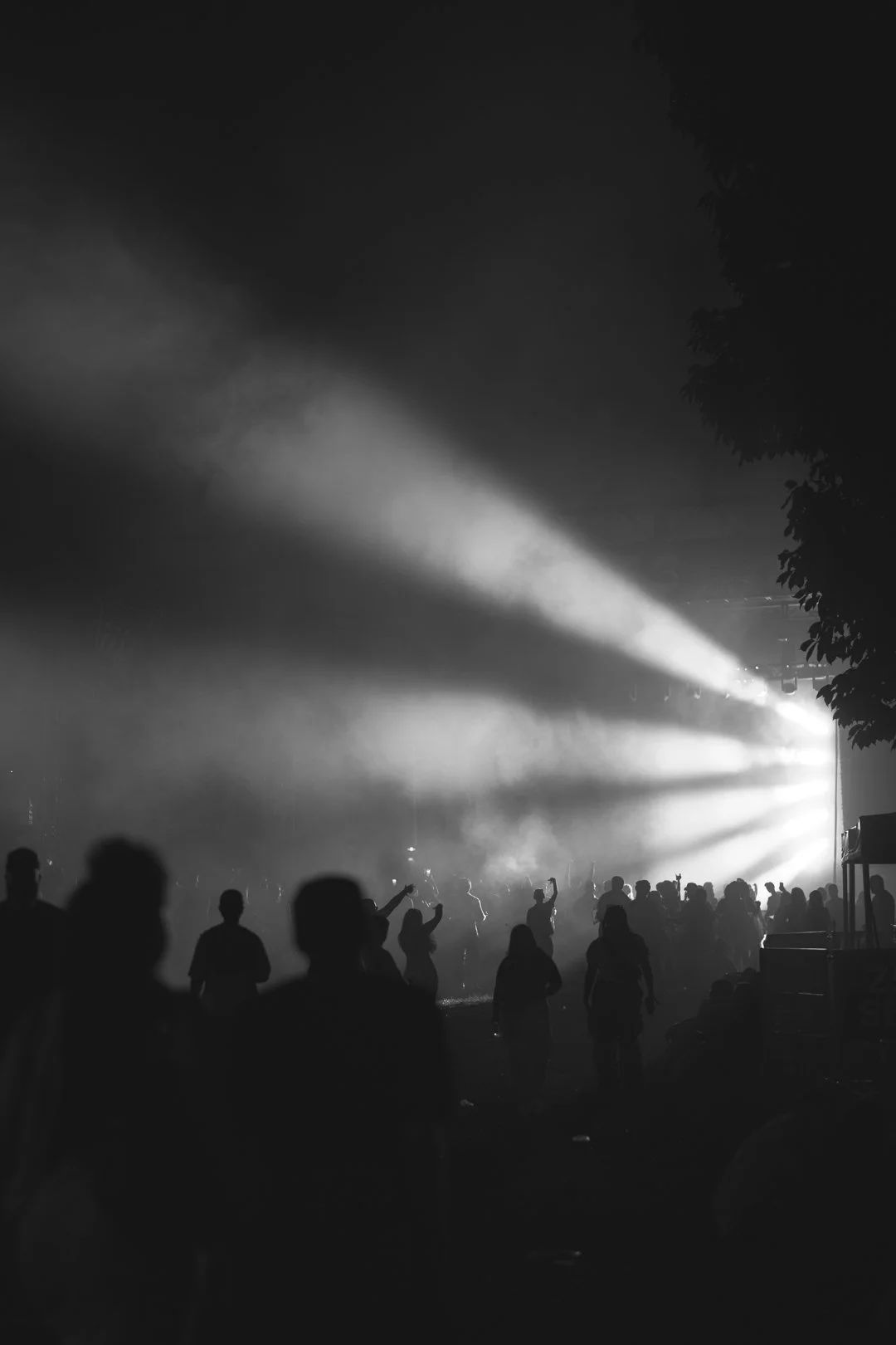 @PhotosByBrendaBrooks iii Day 1 10:20:23 - 213.JPG