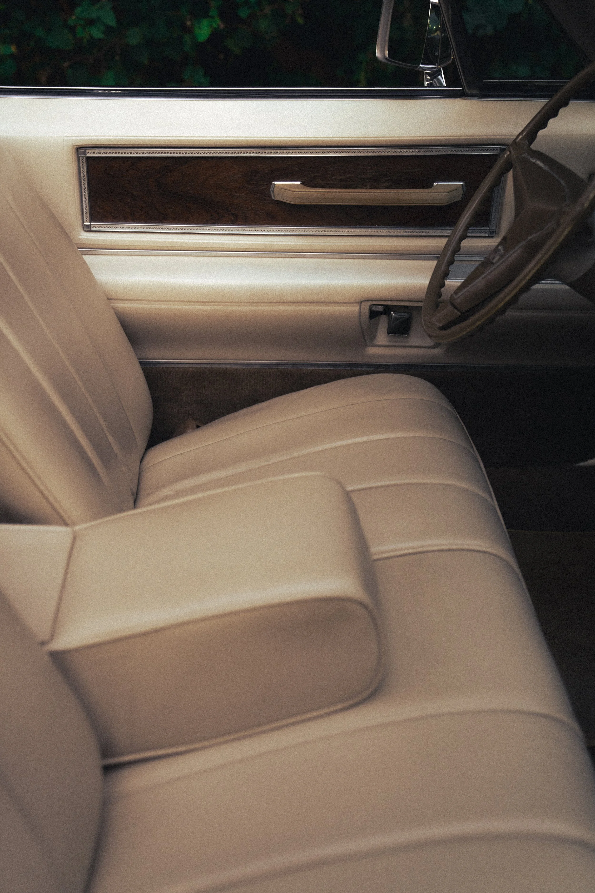 @PhotosByBrendaBrooks Cadillac 1.29.26 - 8.JPG