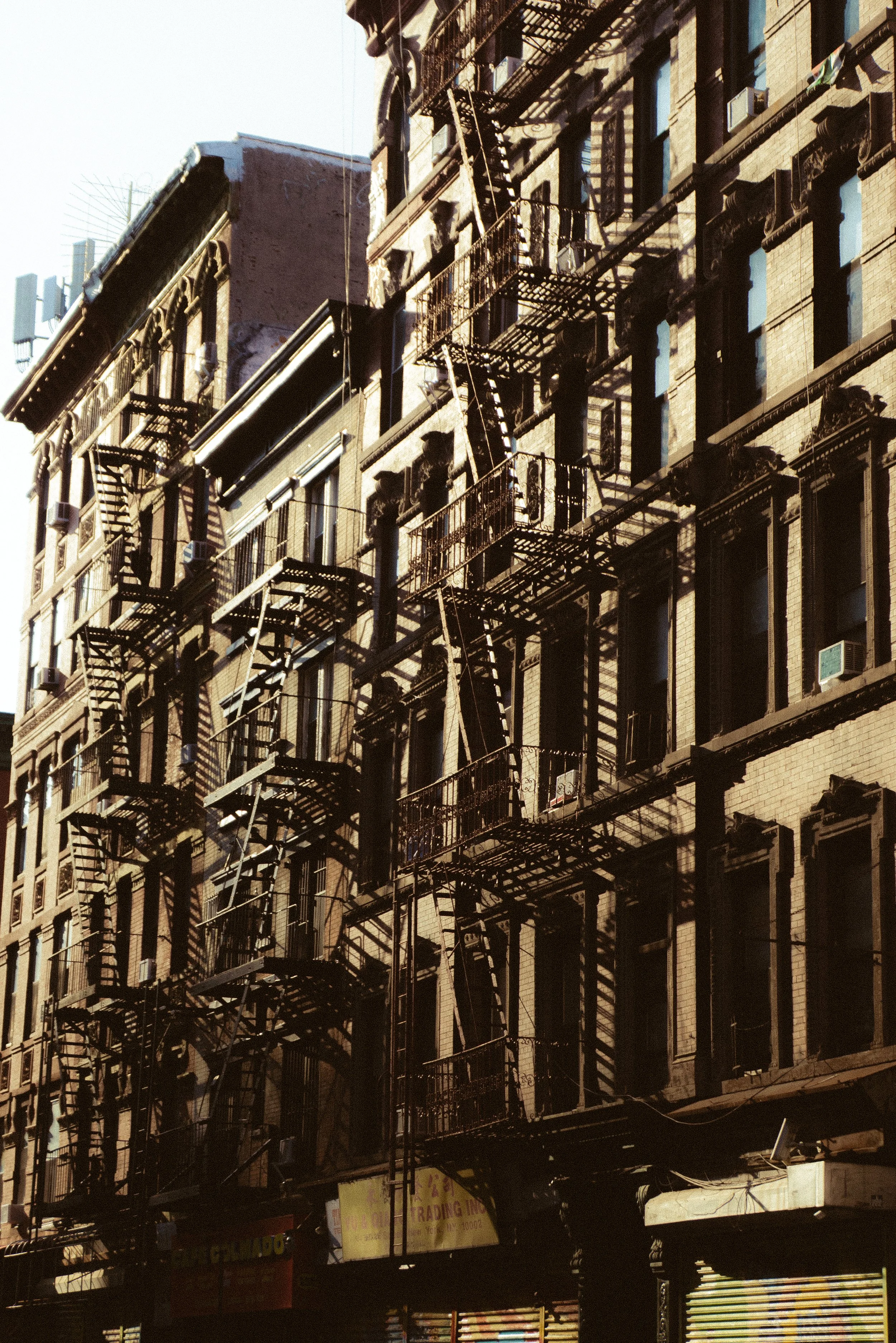 NYC - 25.JPEG