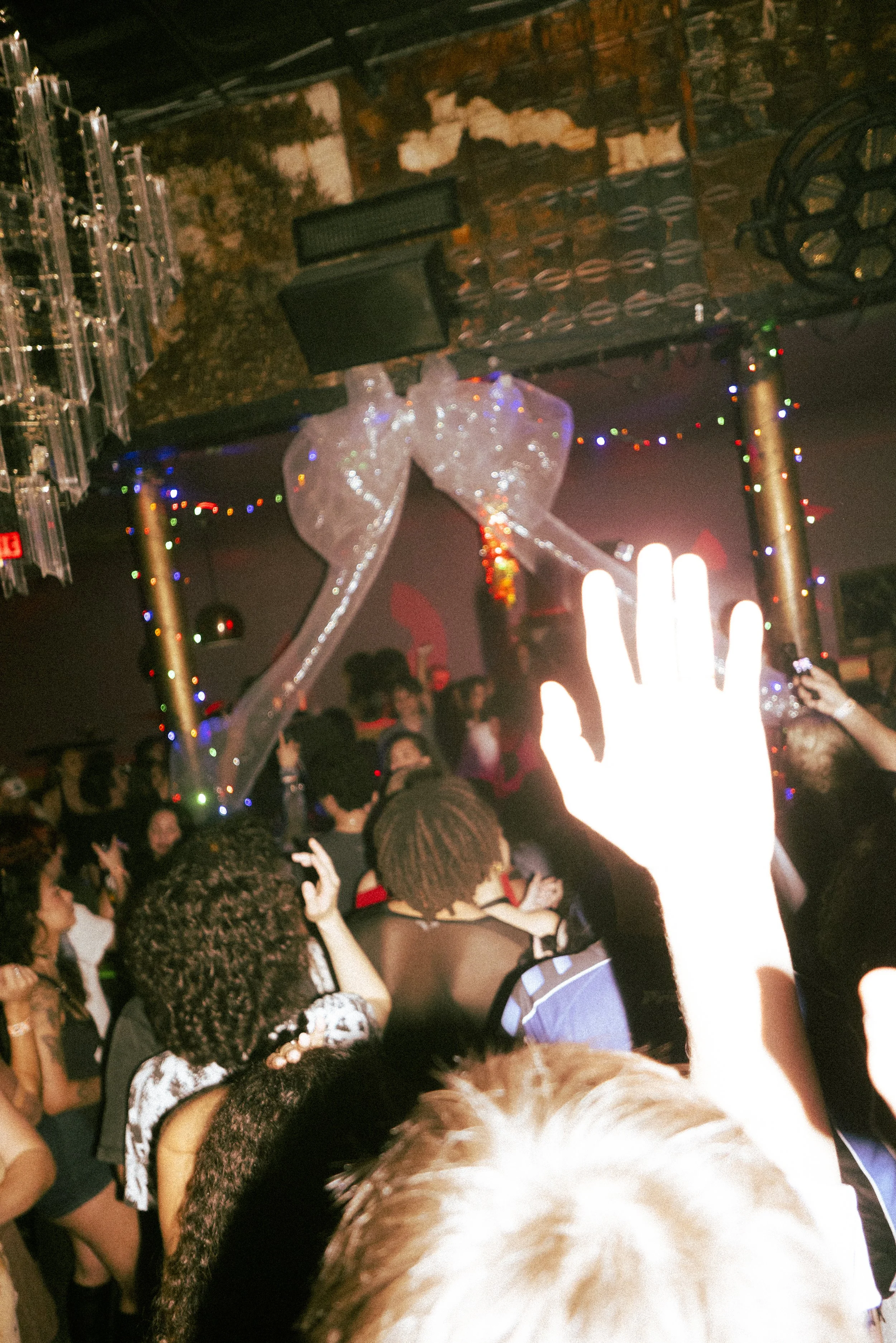 @PhotosByBrendaBrooks Suero (2) 12.27.25 - 56.JPG