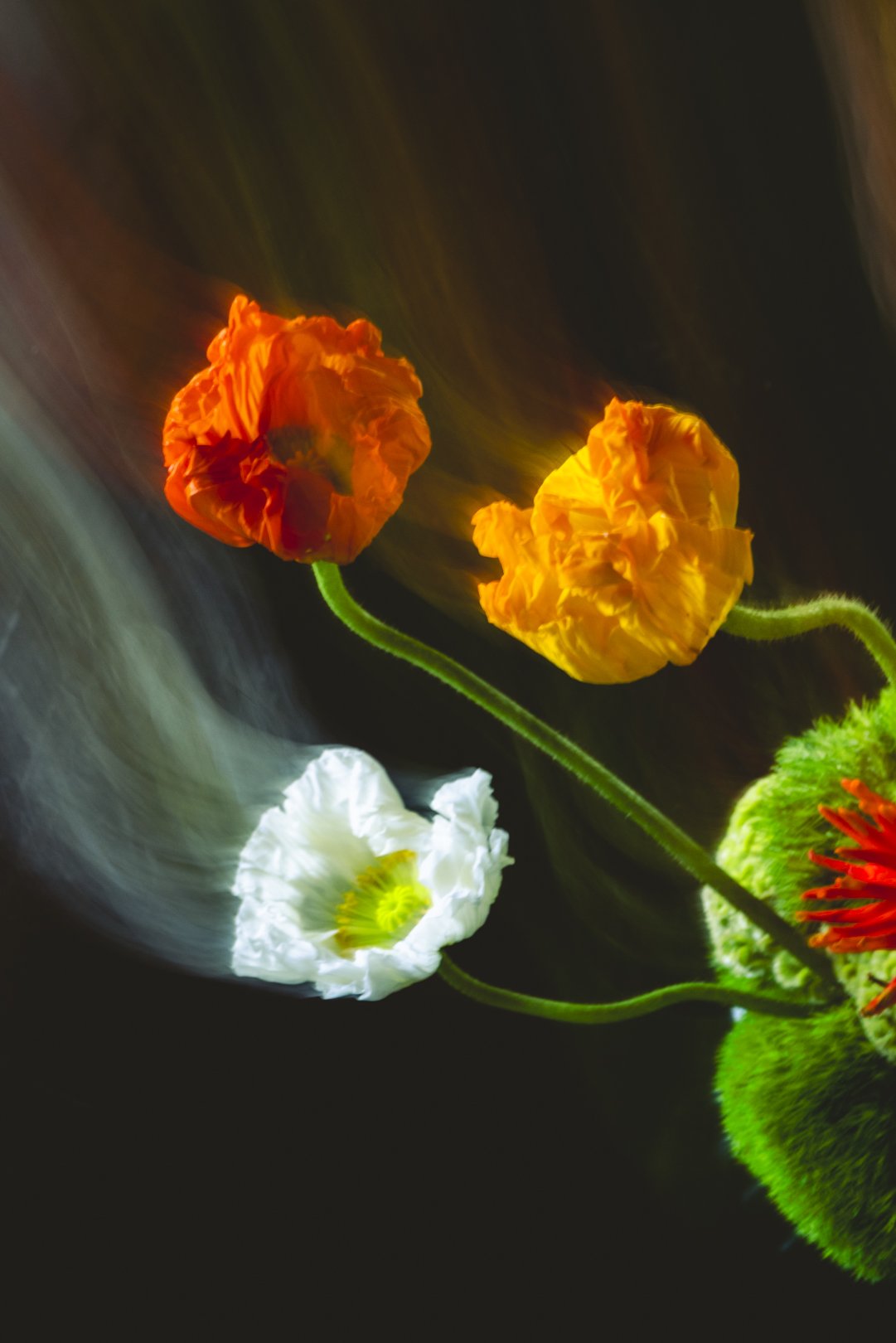 @PhotosByBrendaBrooks Ikebana 11.19.25 - 15.JPG