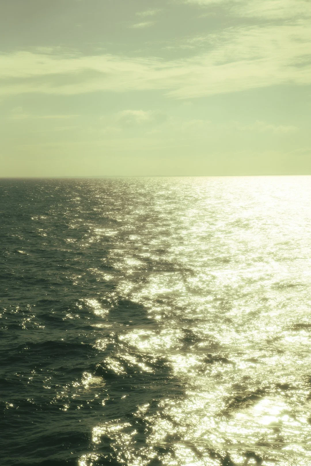 @PhotosByBrendaBrooks GC25 Day 2 1.24.25 - 39.JPG