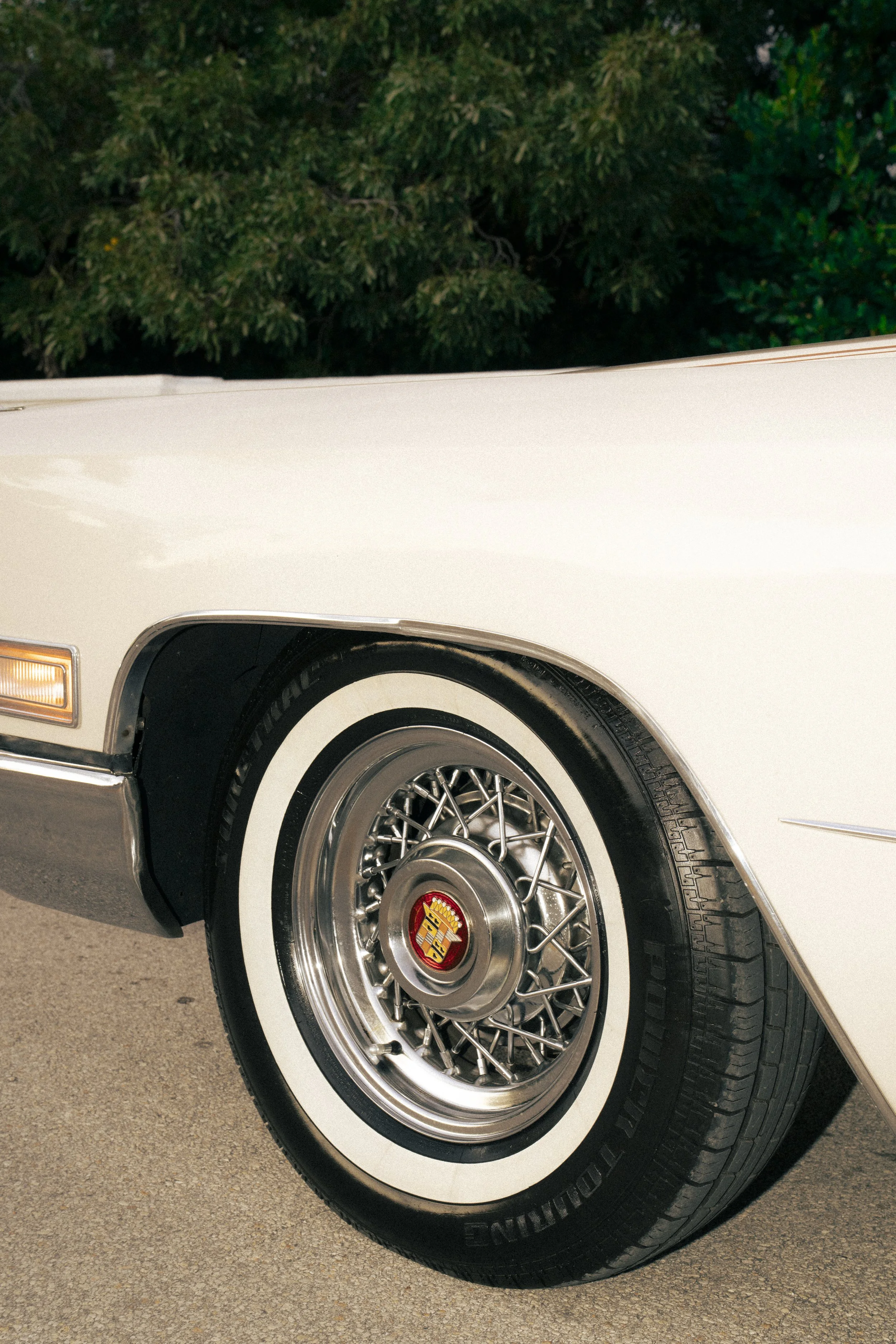 @PhotosByBrendaBrooks Cadillac 1.29.26 - 1.JPG