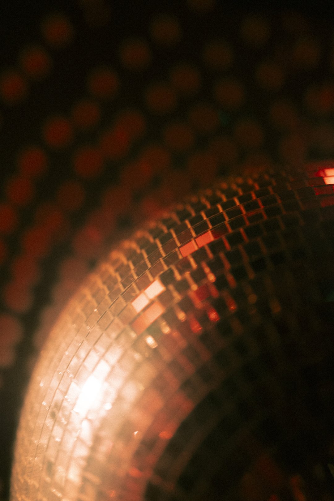 @PhotosByBrendaBrooks Jolene 1.2.26 - 1.JPG