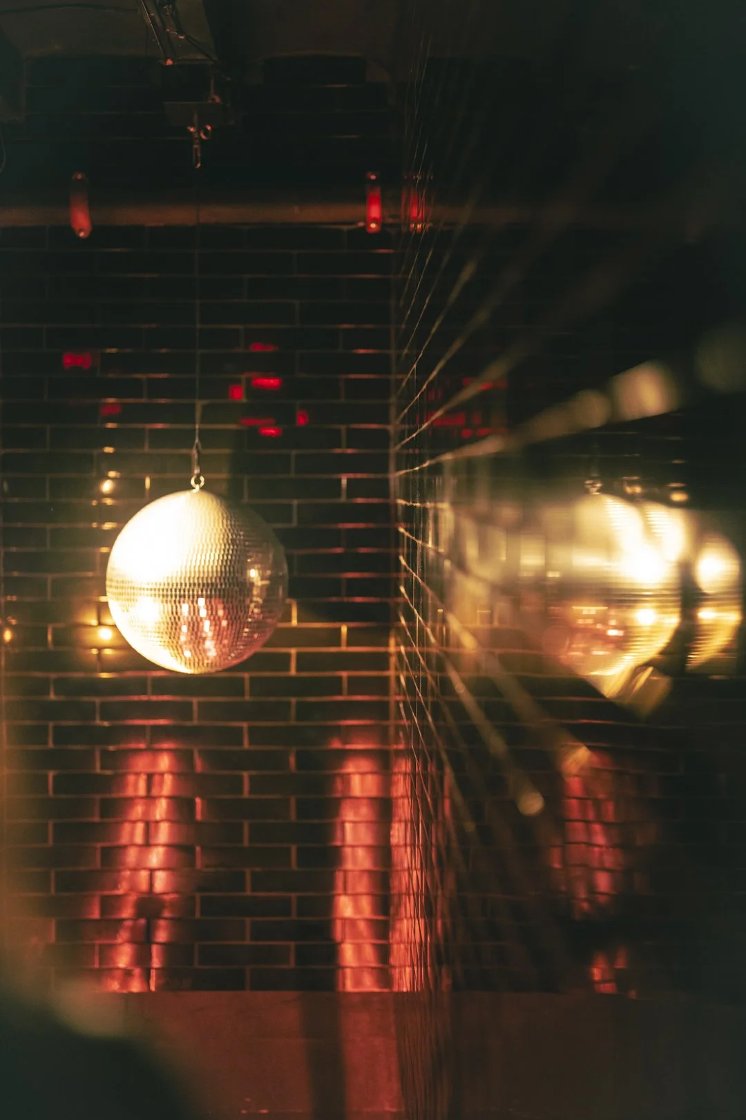 @PhotosByBrendaBrooks Jolene 2.27.26 - 40.JPG