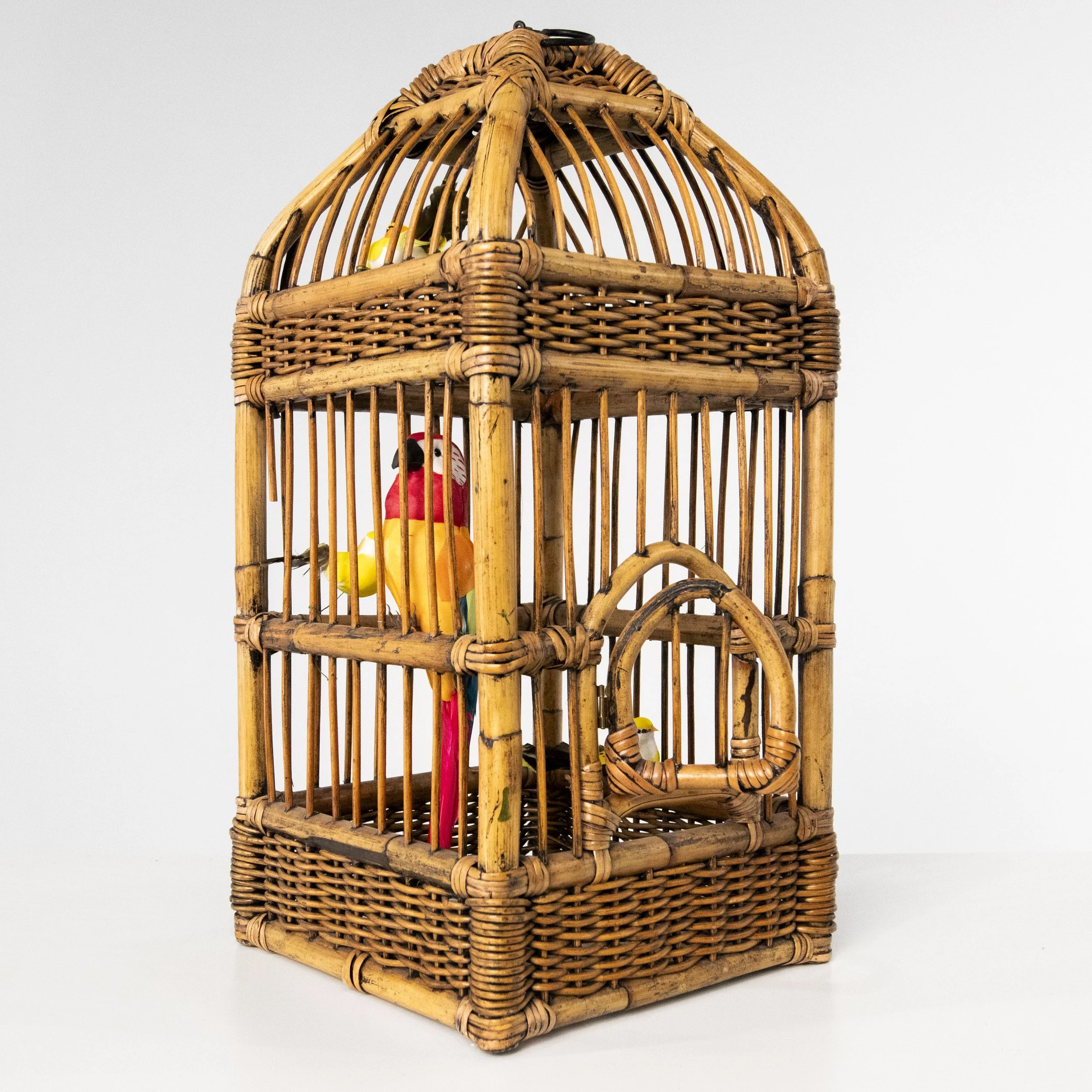 Bird Cage