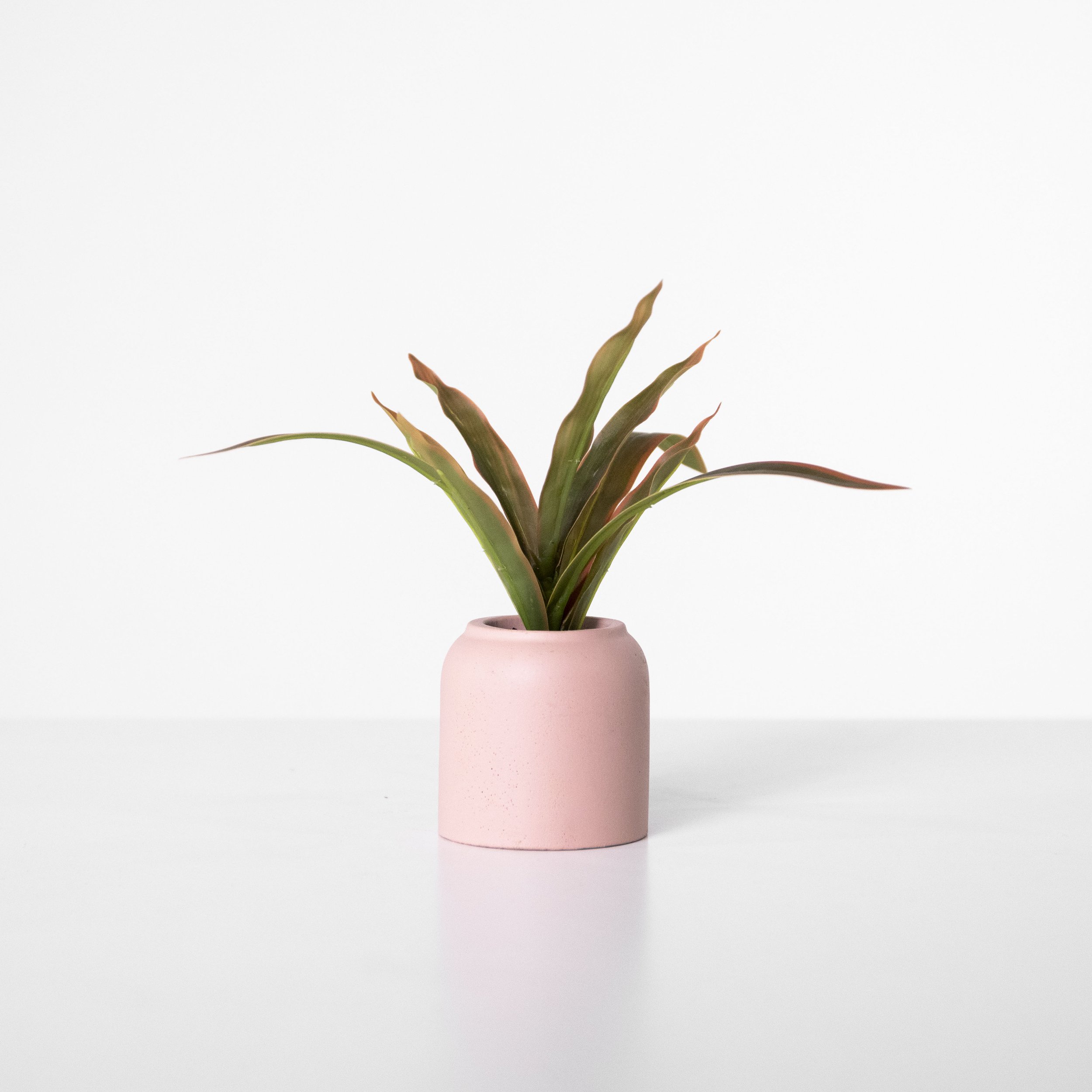 Tiny Plant in Pink Planter Tabletop