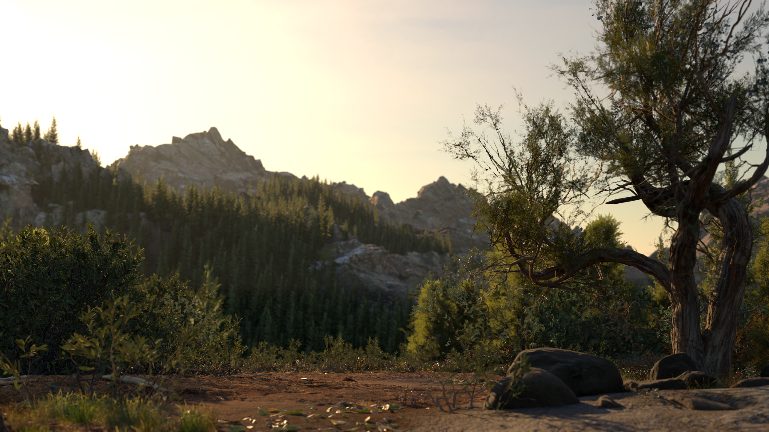 Hiking_New_Scene01_HIKING_Render_Shot1.0000.png