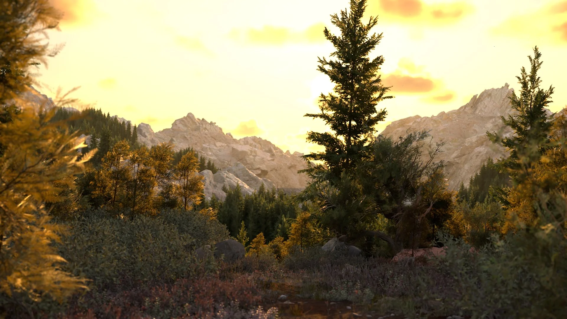 Hiking 1