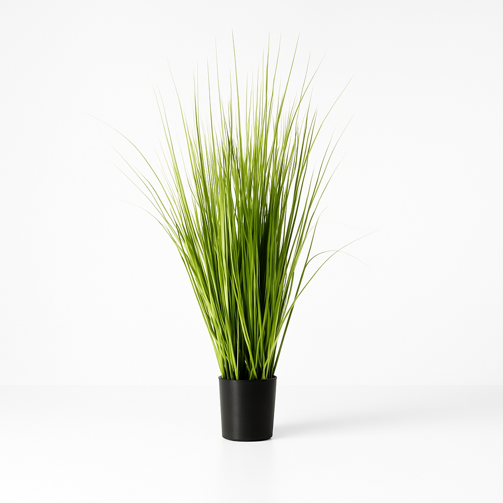Short Grass