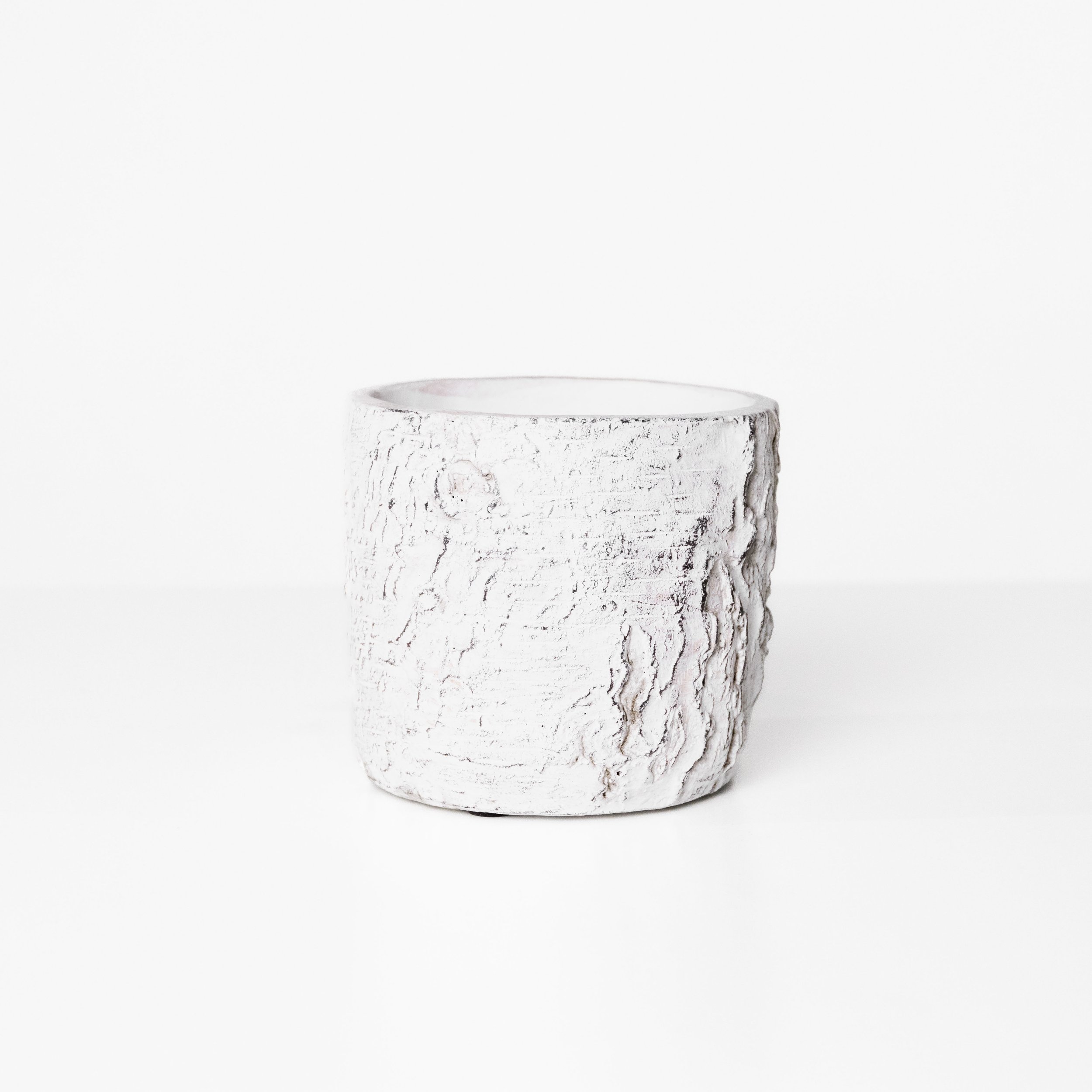 Birch Vase Planter