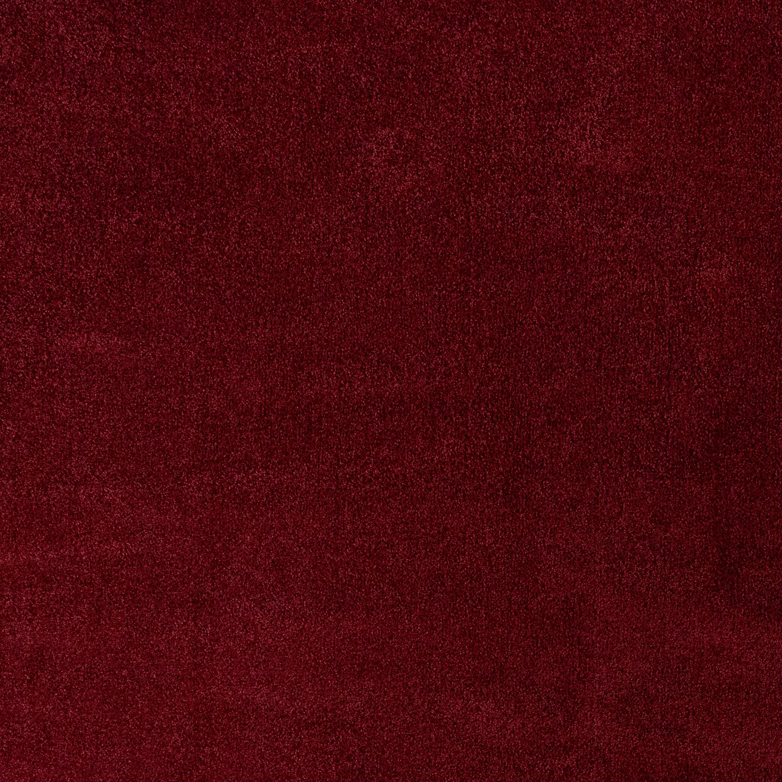Red Medium Pile Carpet 2