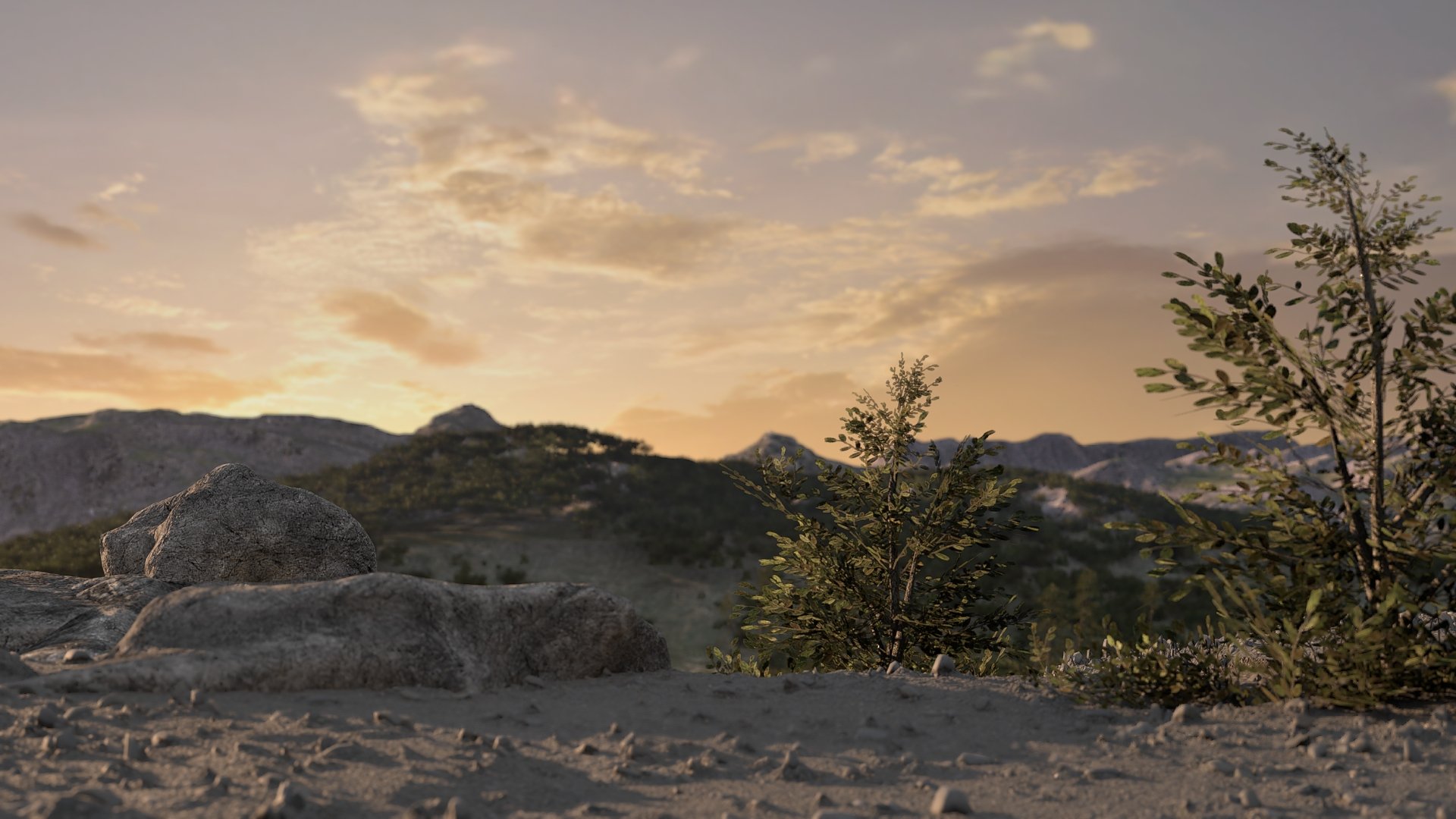Rolling Hills — GOLDEN HOUR