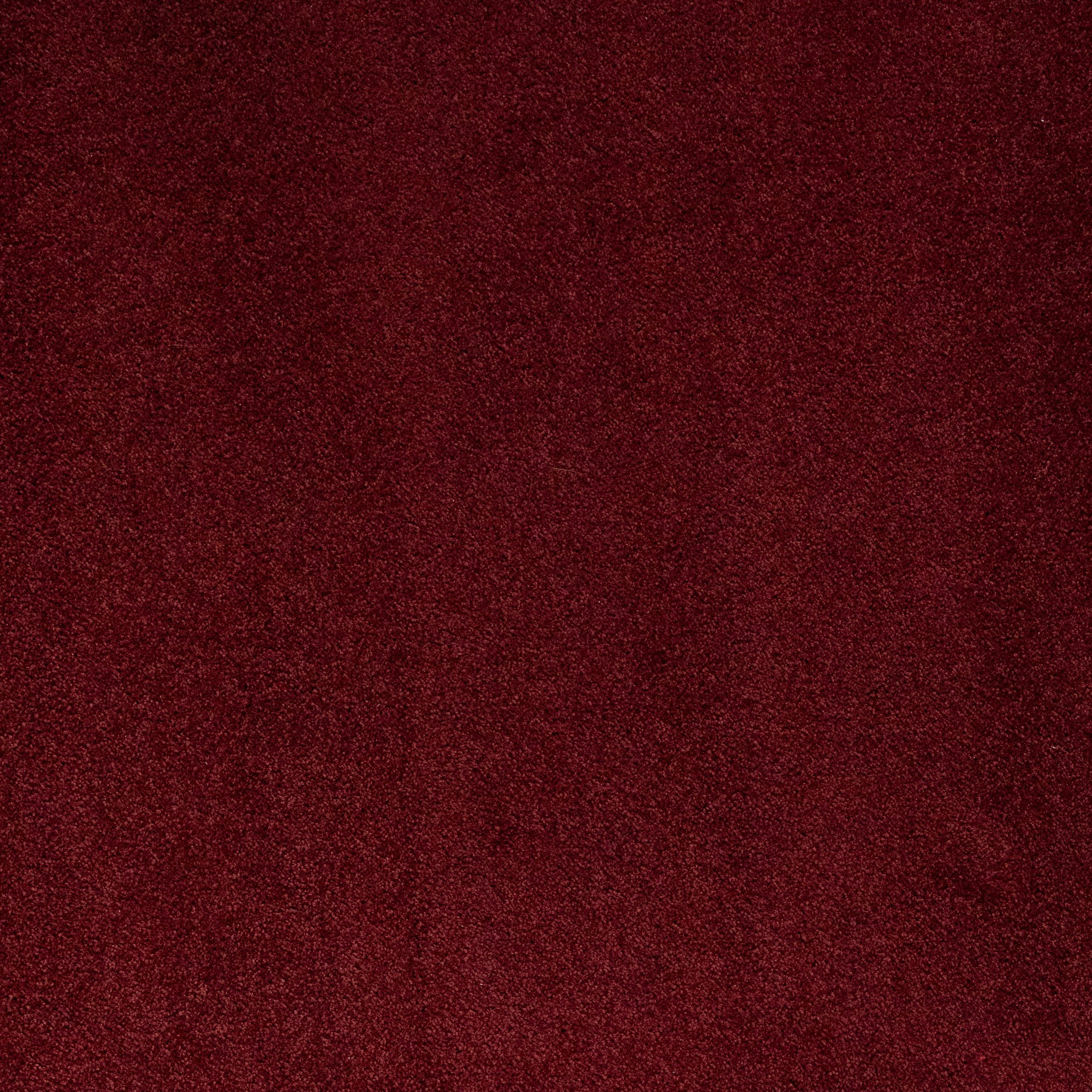 Red Medium Pile Carpet 1