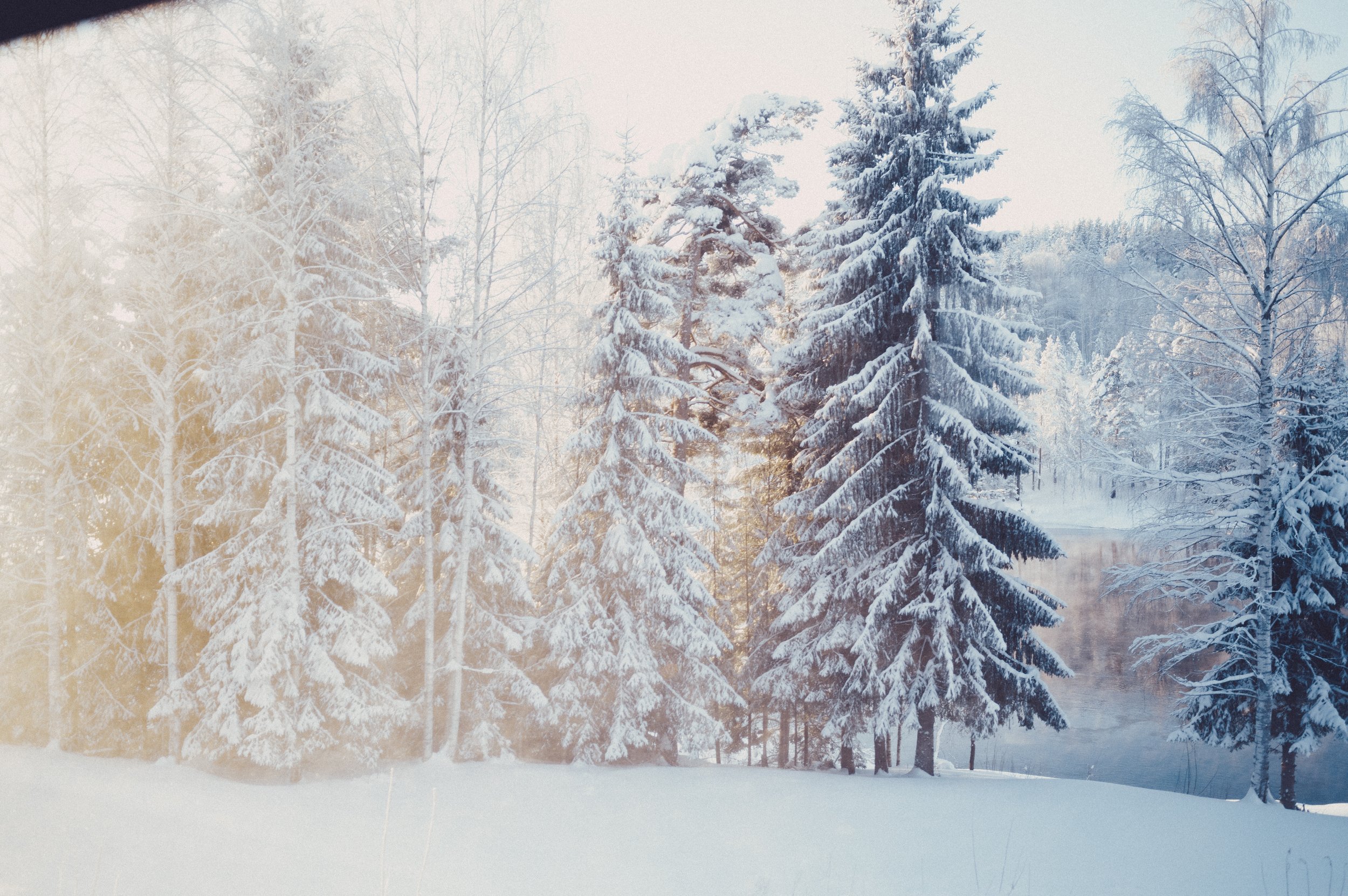 0115_NORWAY_Olson-194.jpg