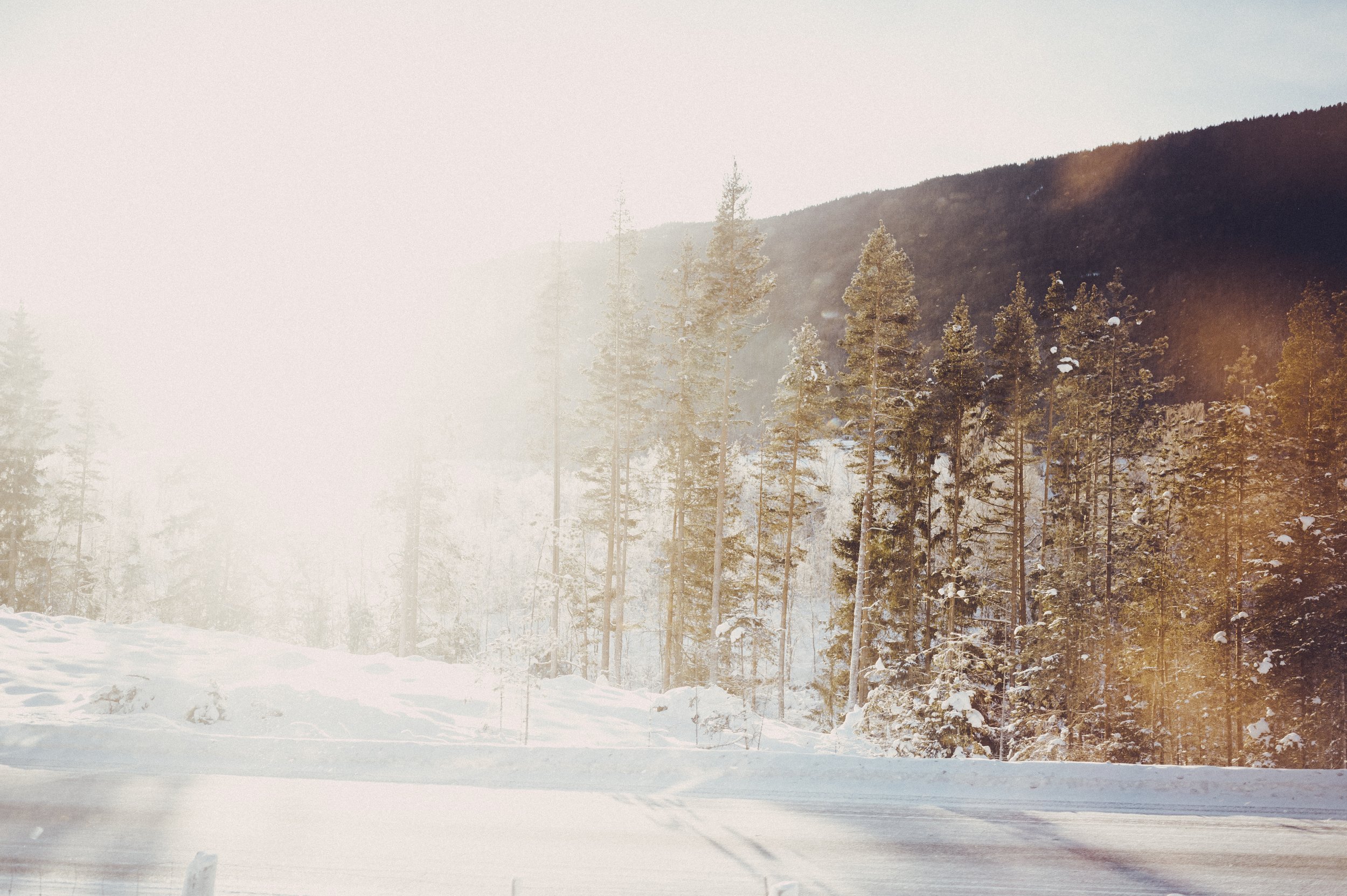 0115_NORWAY_Olson-185.jpg