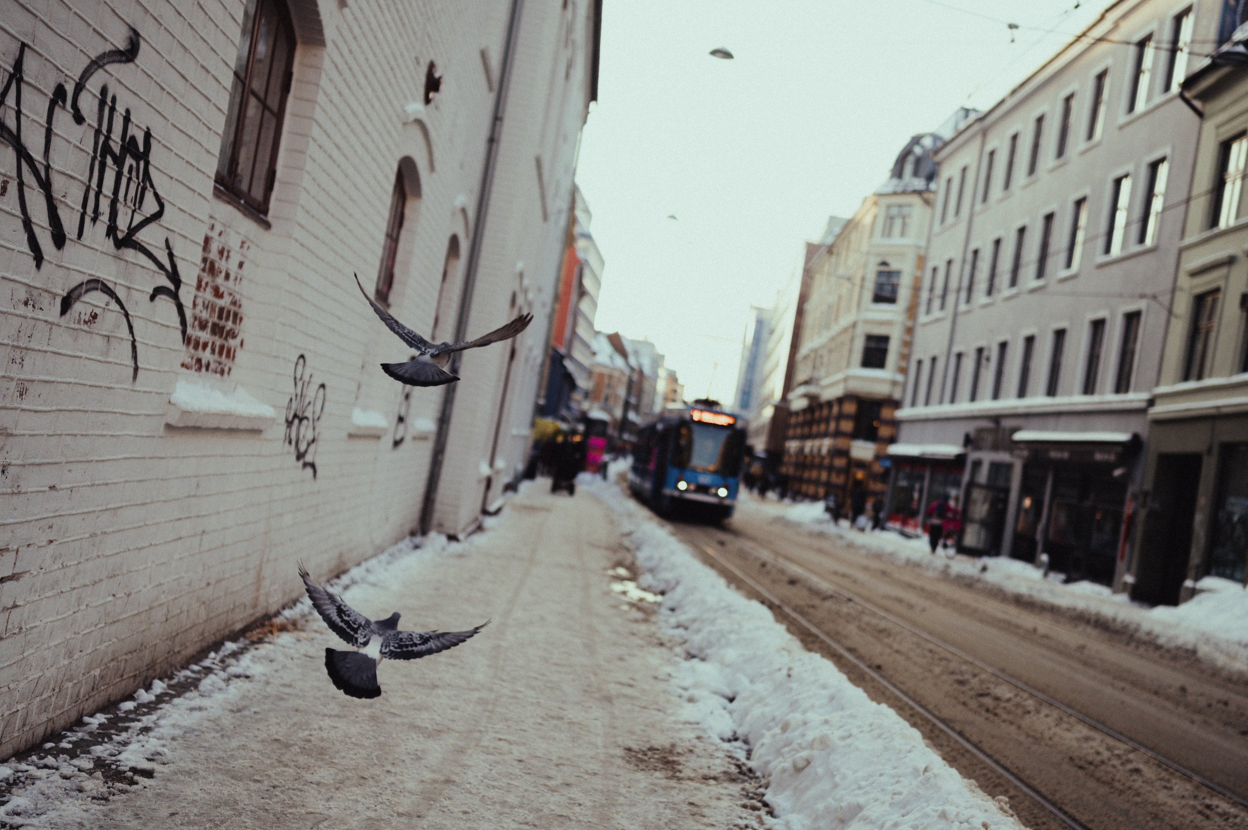 0115_NORWAY_Olson-203.jpg