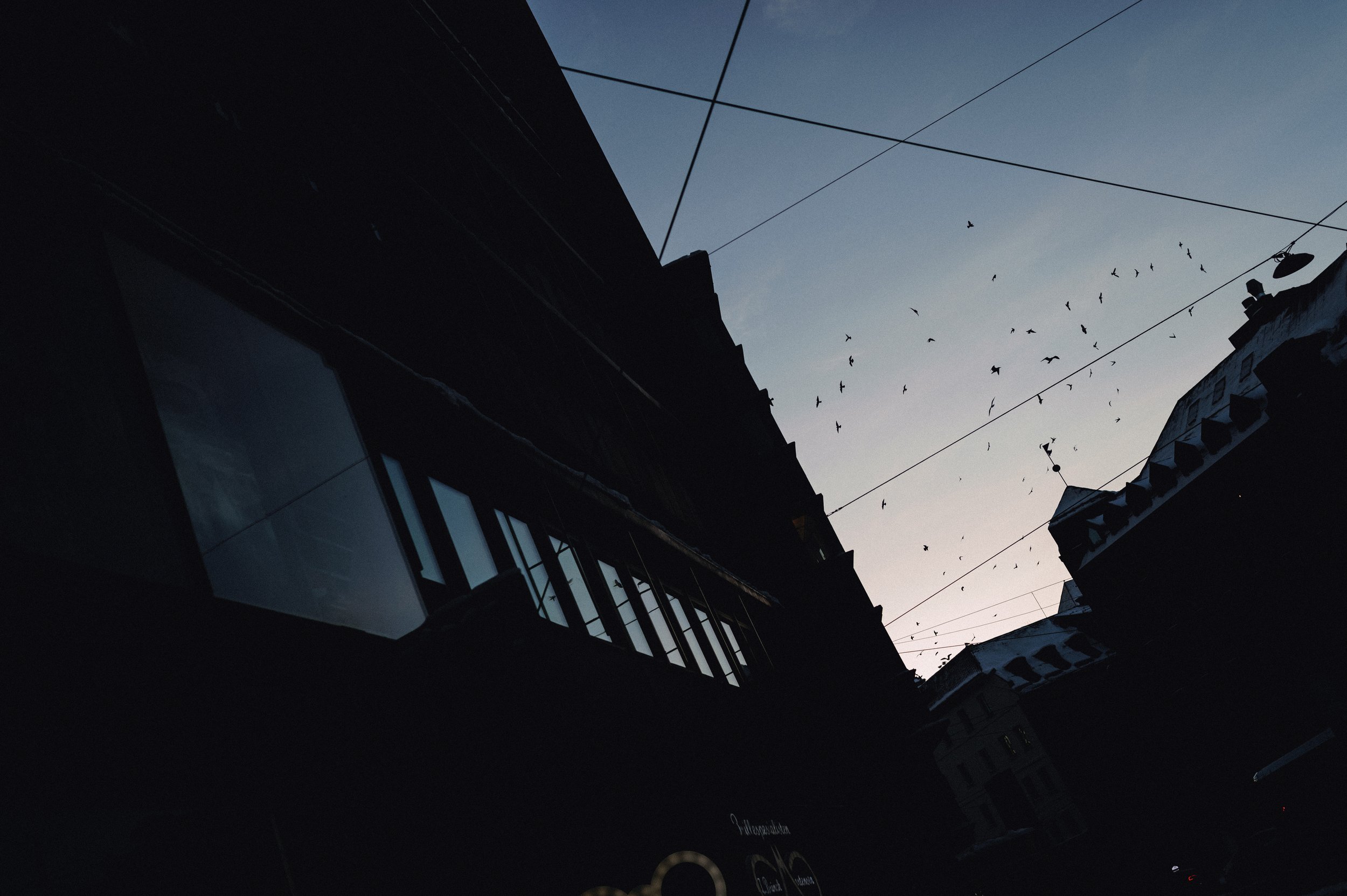 0115_NORWAY_Olson-48.jpg