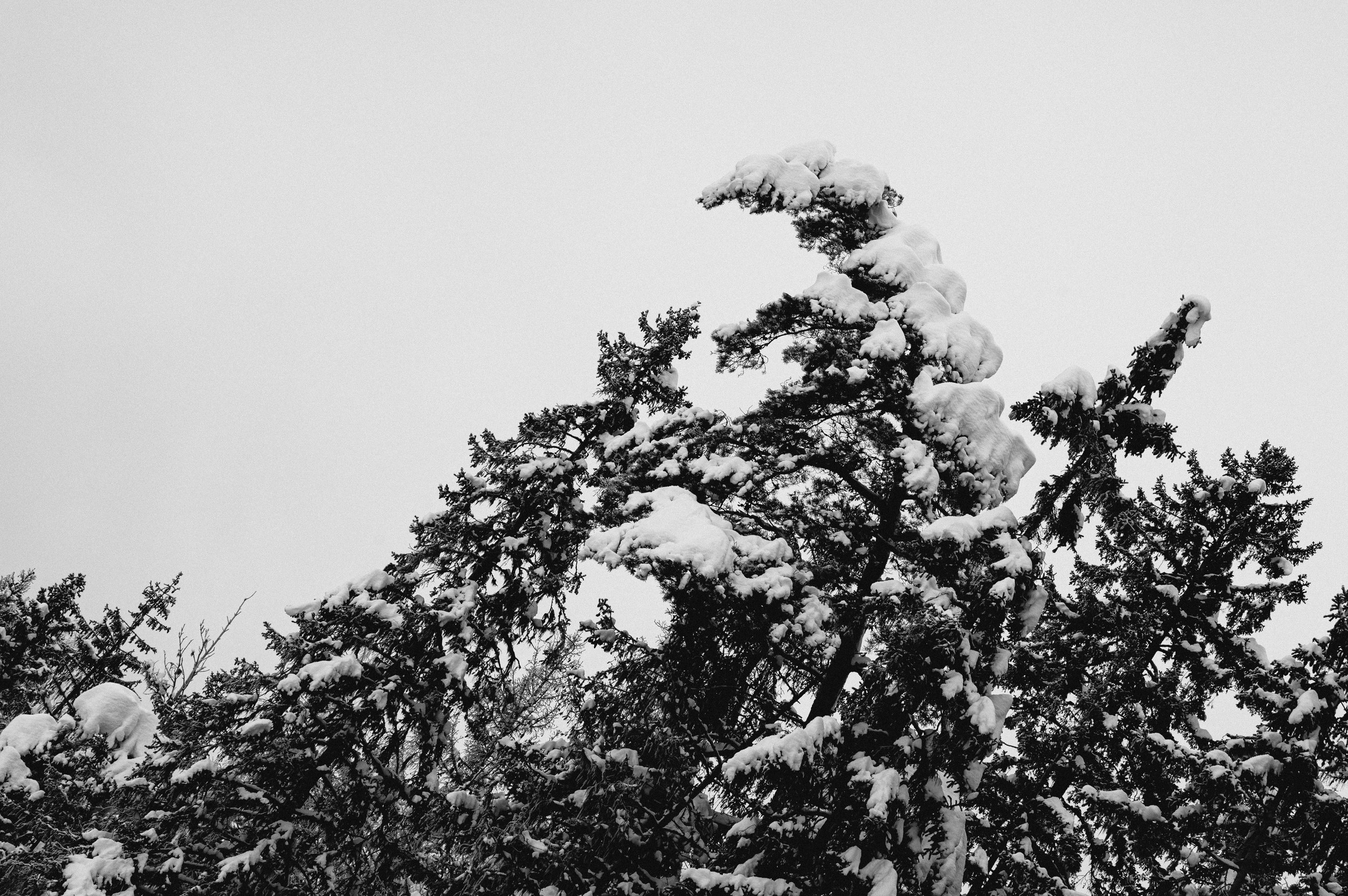 0115_NORWAY_Olson-18.jpg