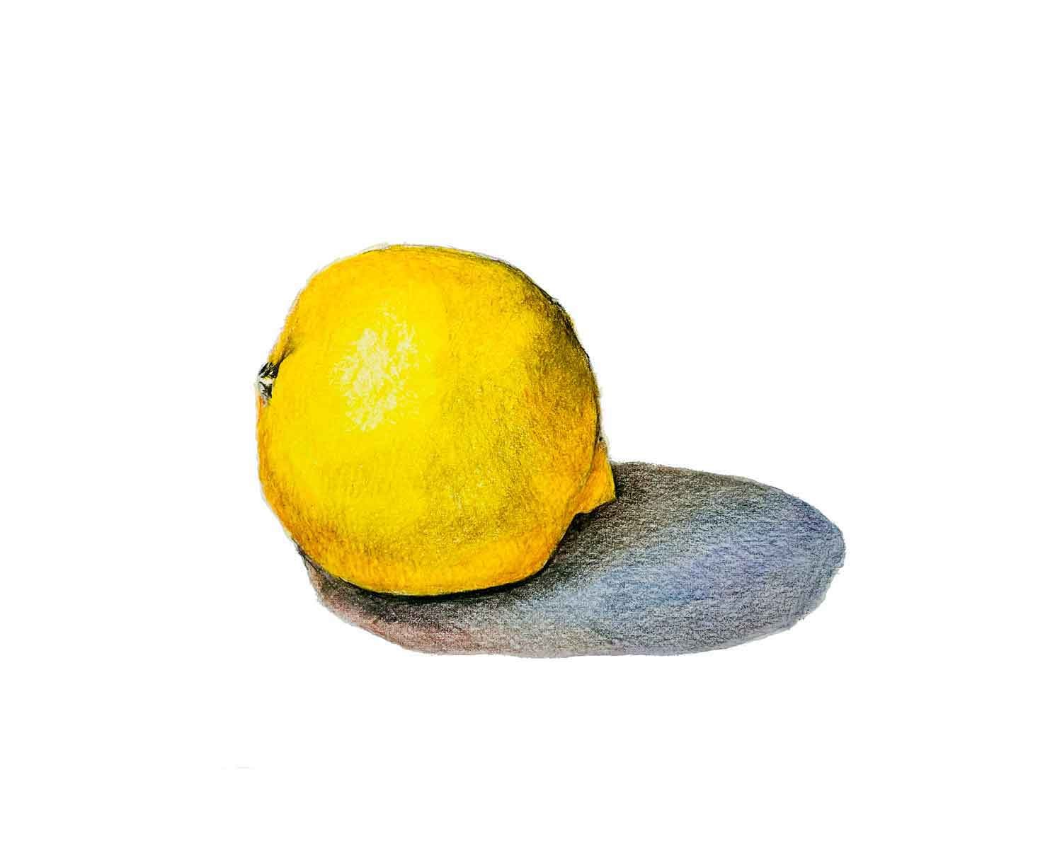 Lemon Colored Pencil Print